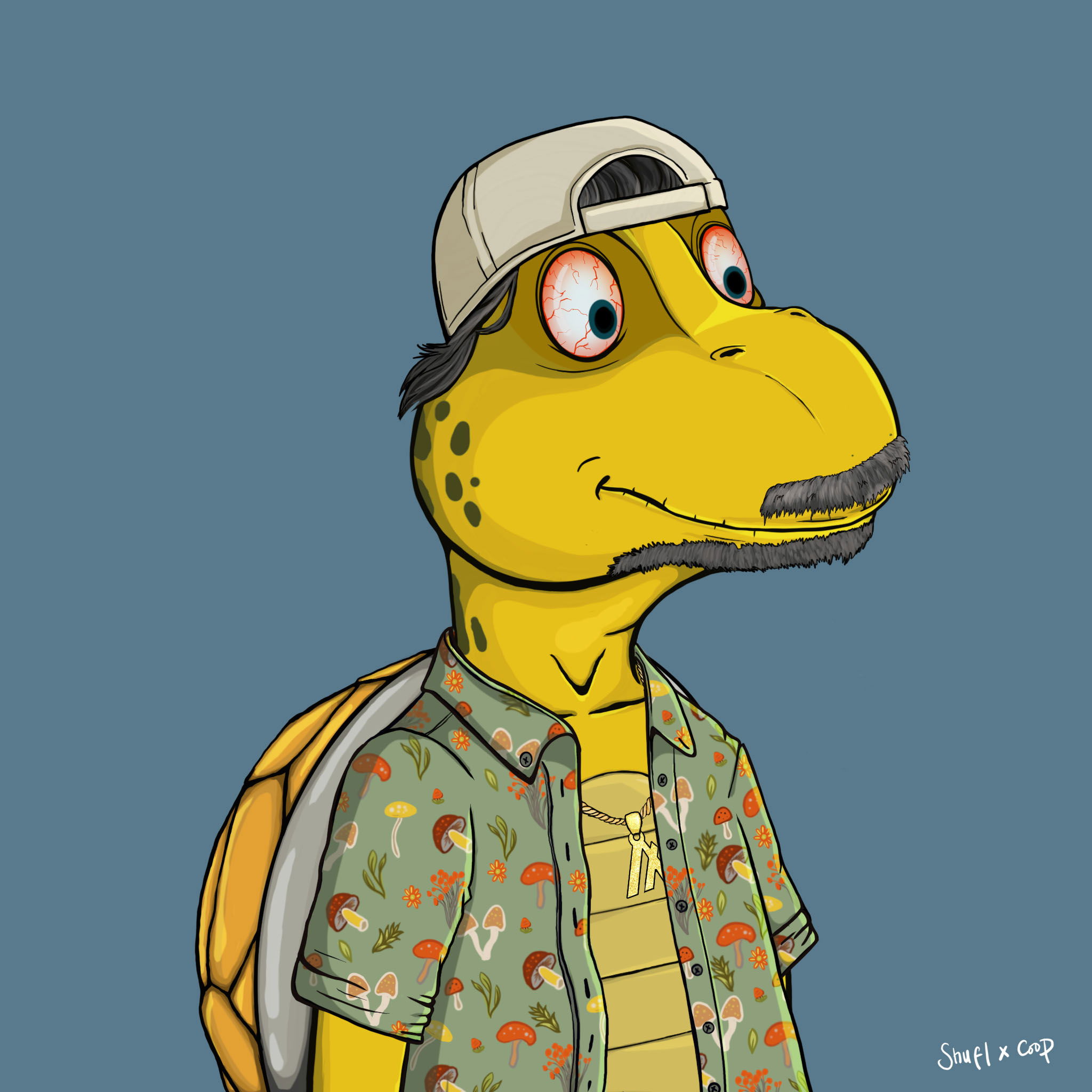 Coopa Troopa #616 NFT on Algorand