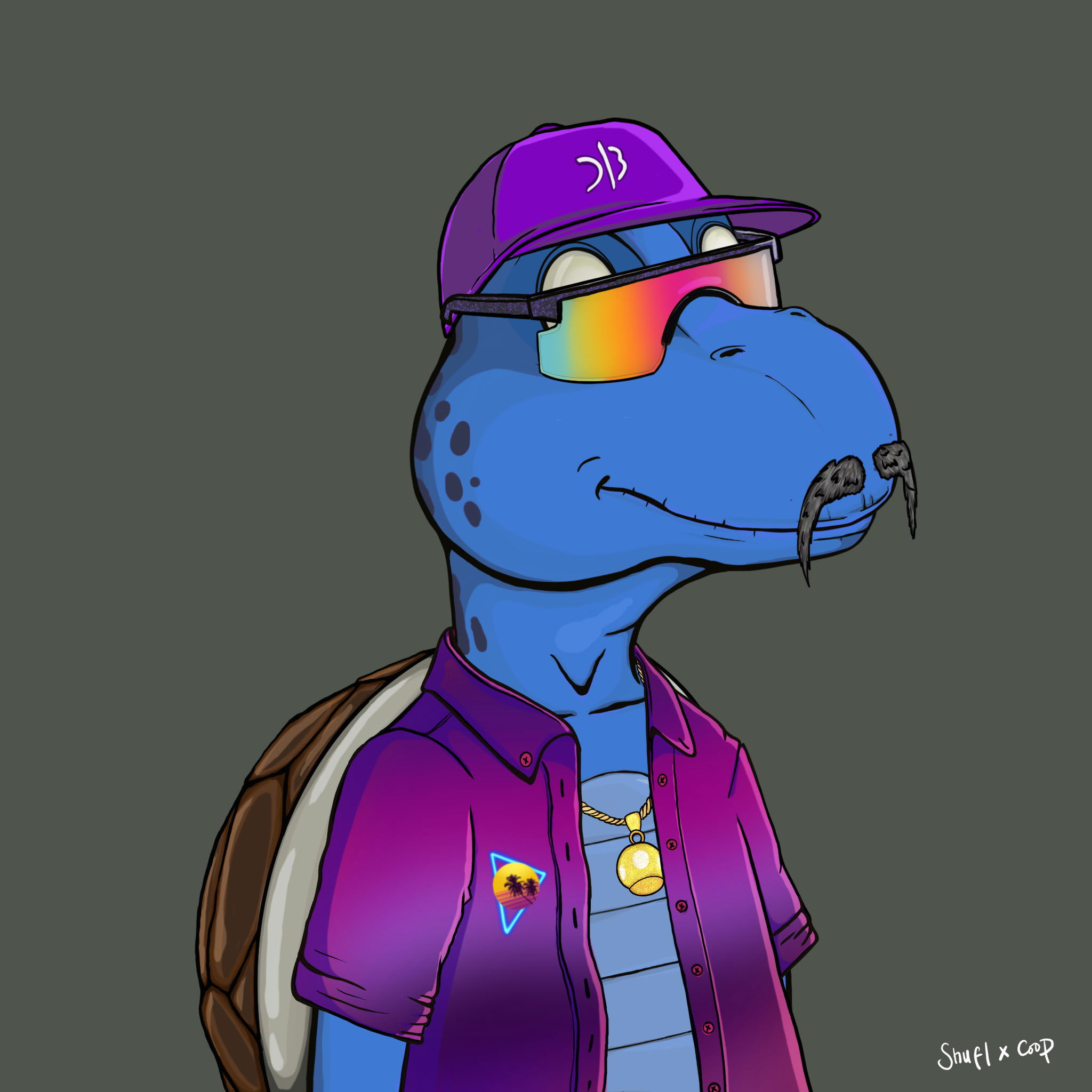 Coopa Troopa #617 NFT on Algorand