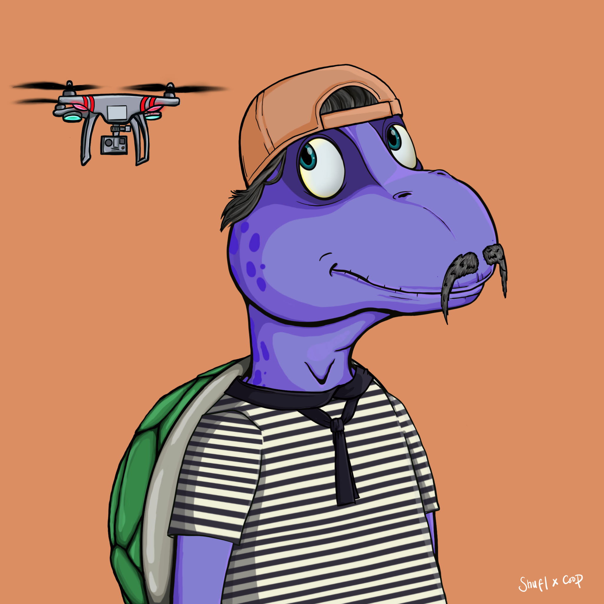 Coopa Troopa #622 NFT on Algorand