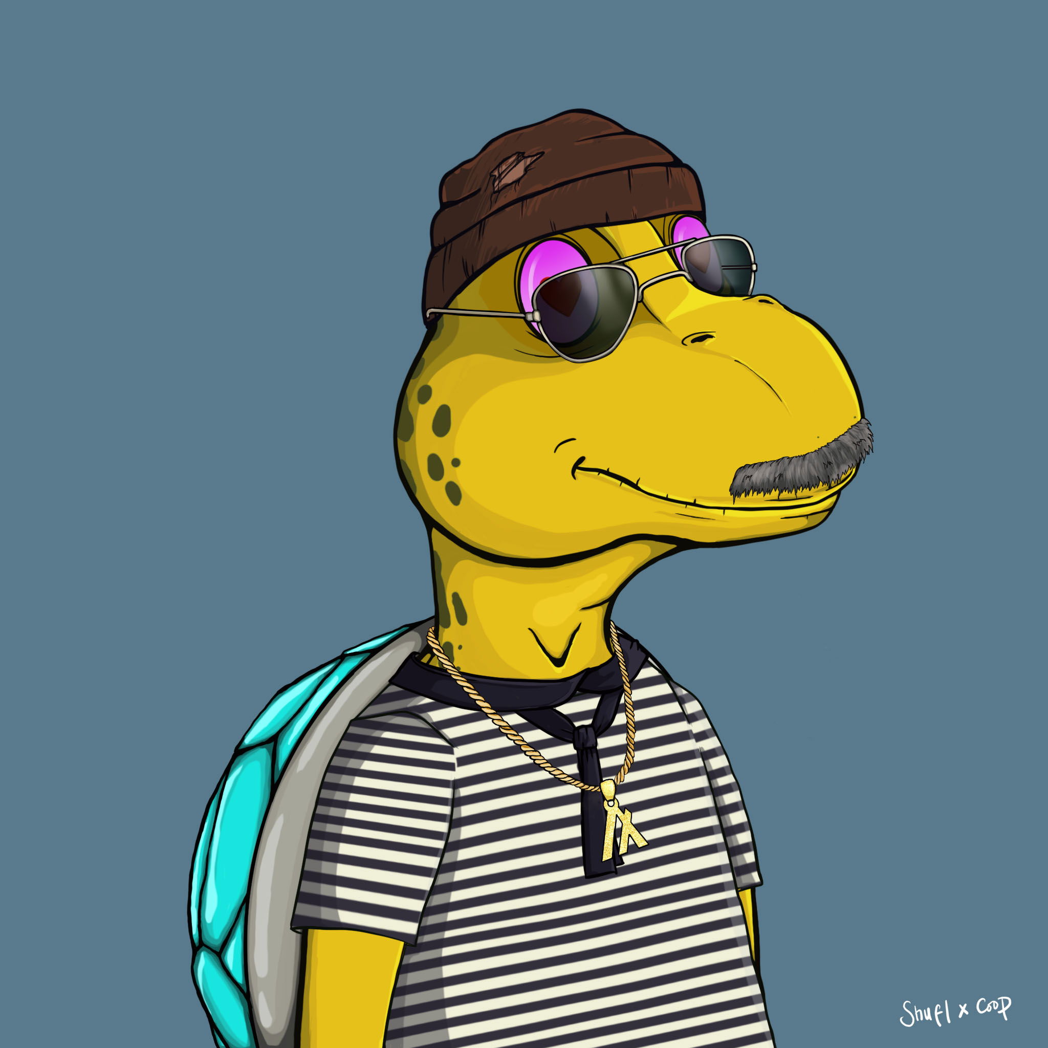 Coopa Troopa #646 NFT on Algorand