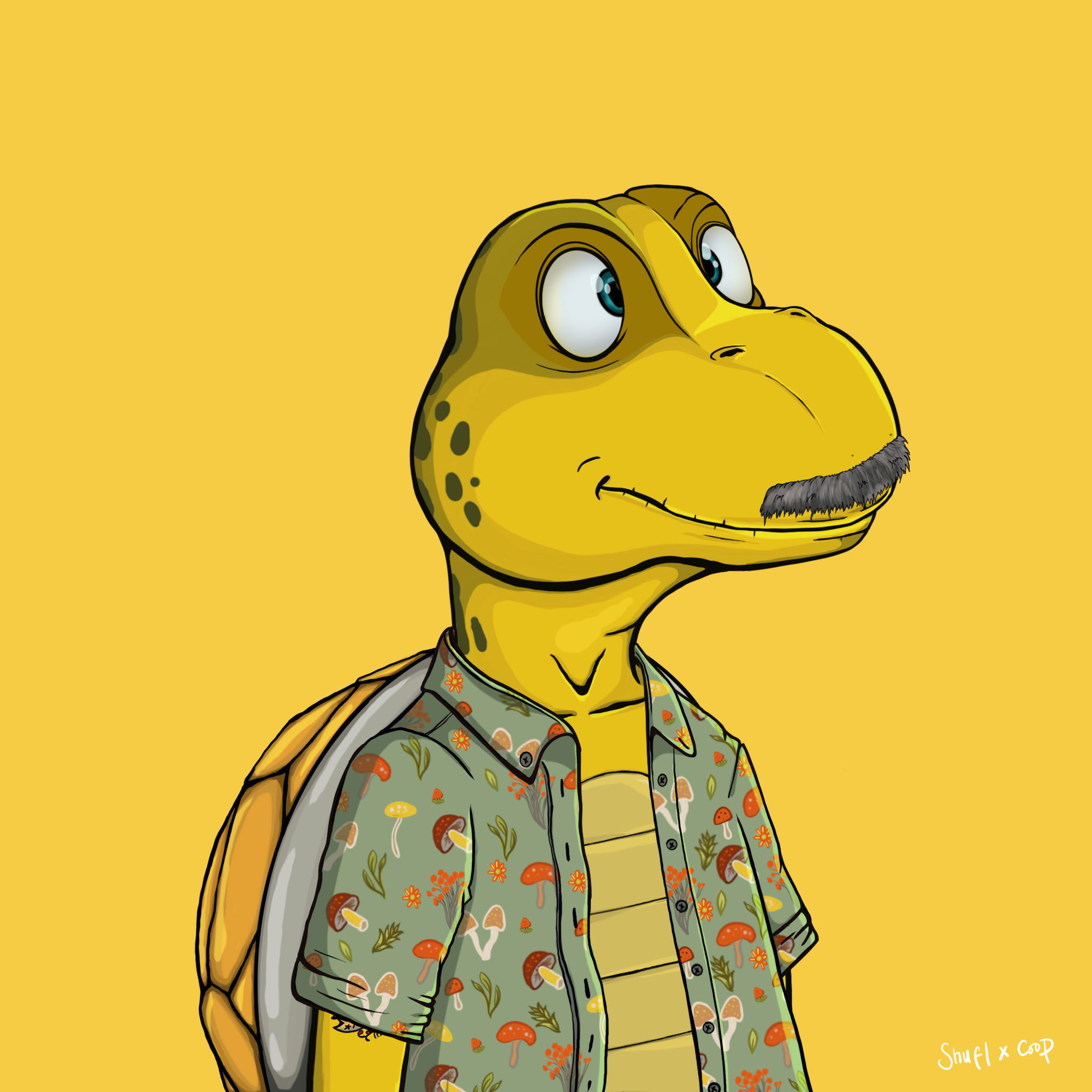 Coopa Troopa #663 NFT on Algorand