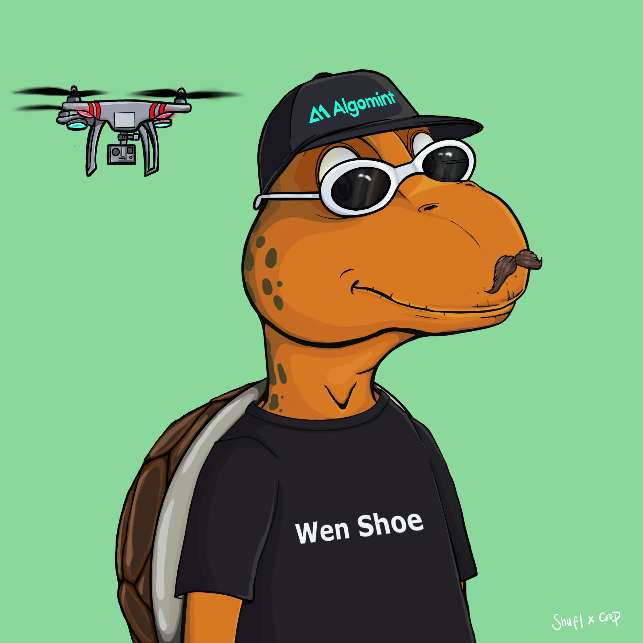 Coopa Troopa #665 NFT on Algorand