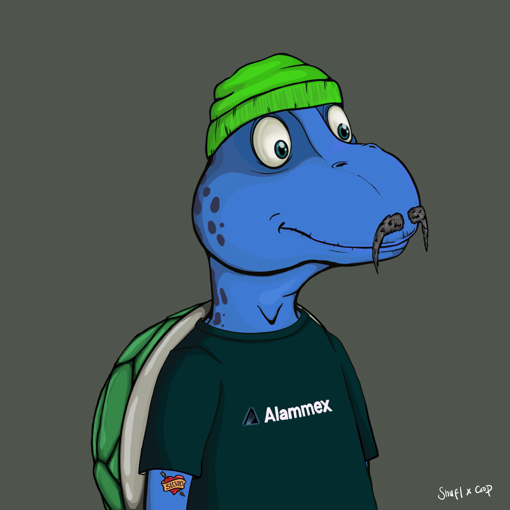 Coopa Troopa #669 NFT on Algorand