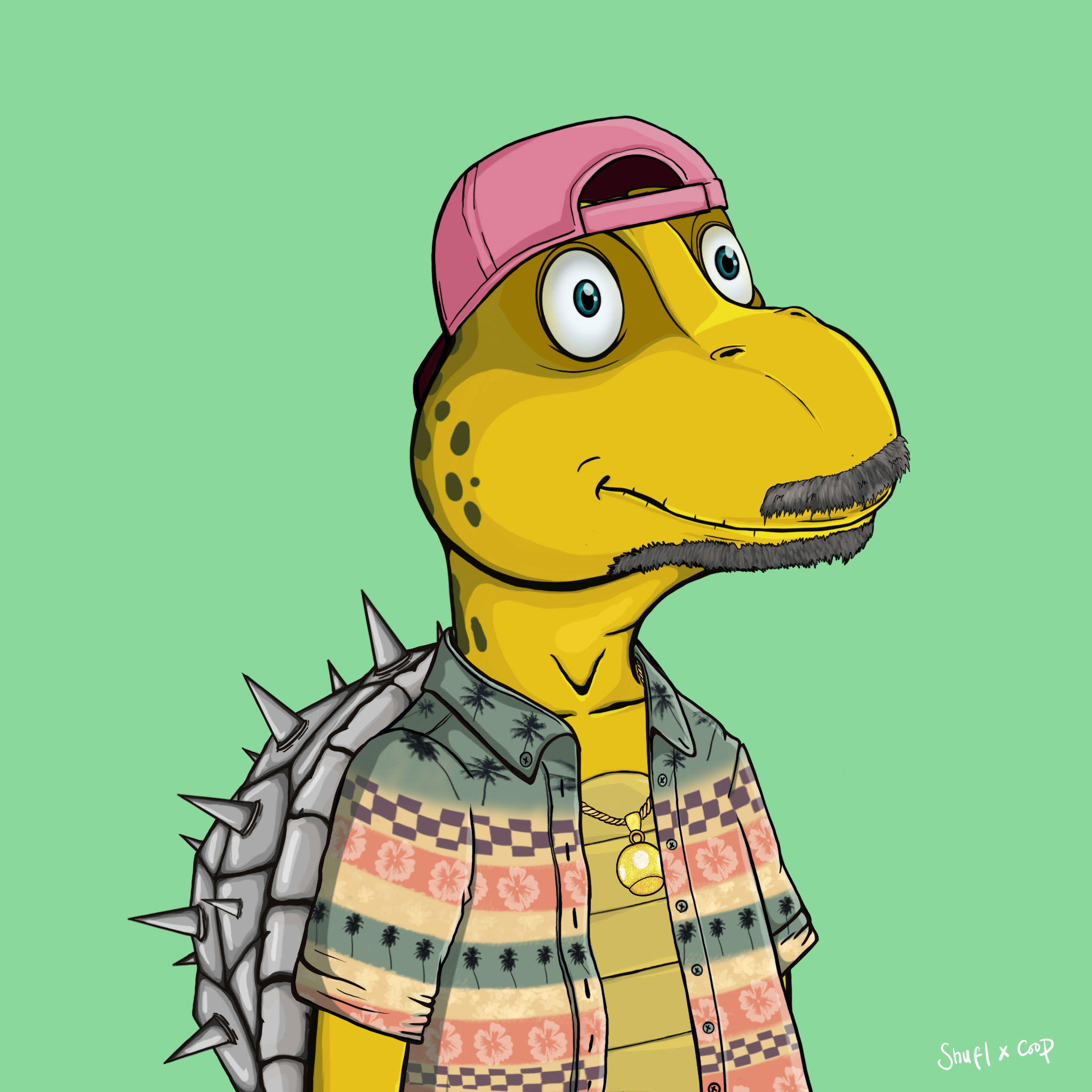 Coopa Troopa #671 NFT on Algorand