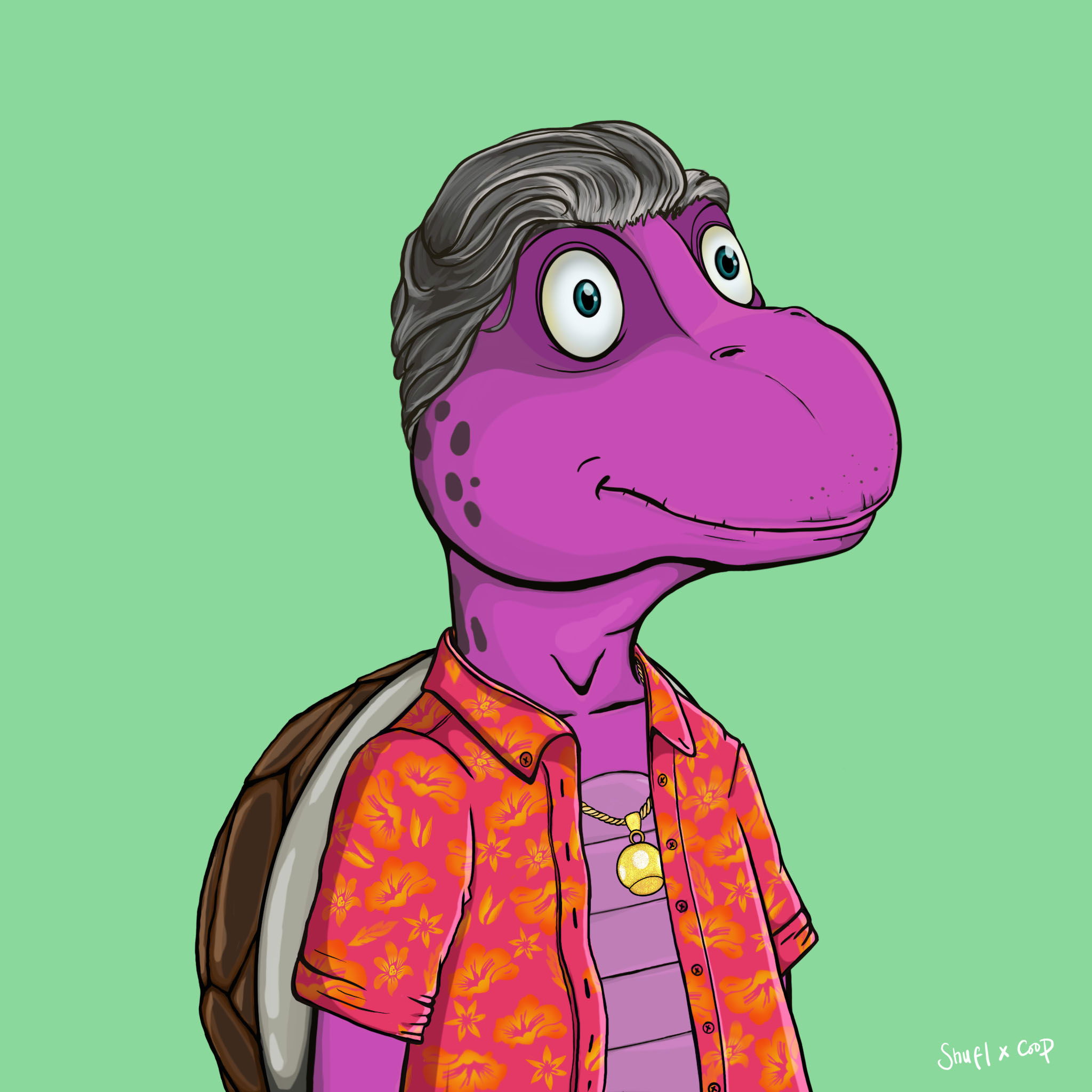 Coopa Troopa #673 NFT on Algorand