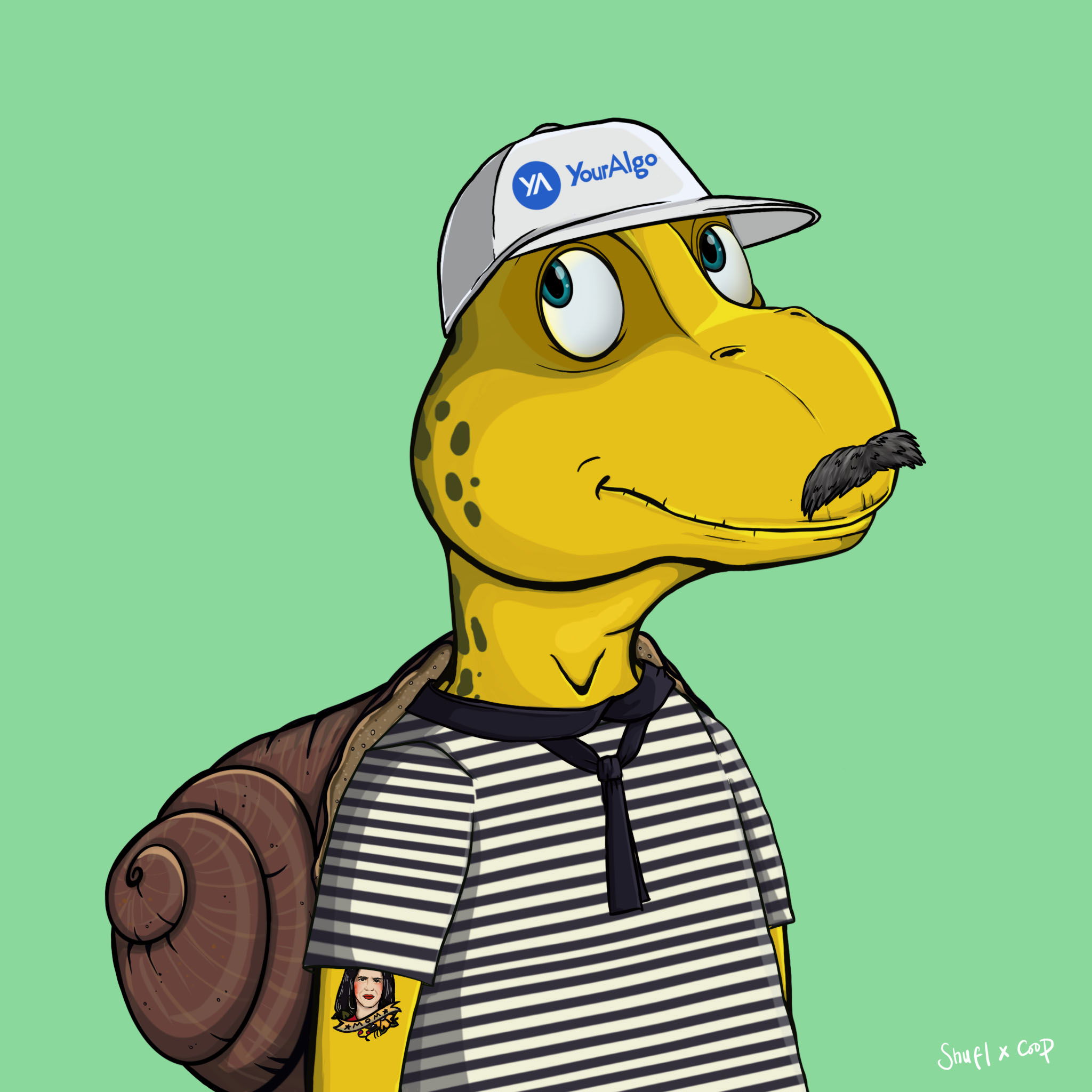 Coopa Troopa #674 NFT on Algorand