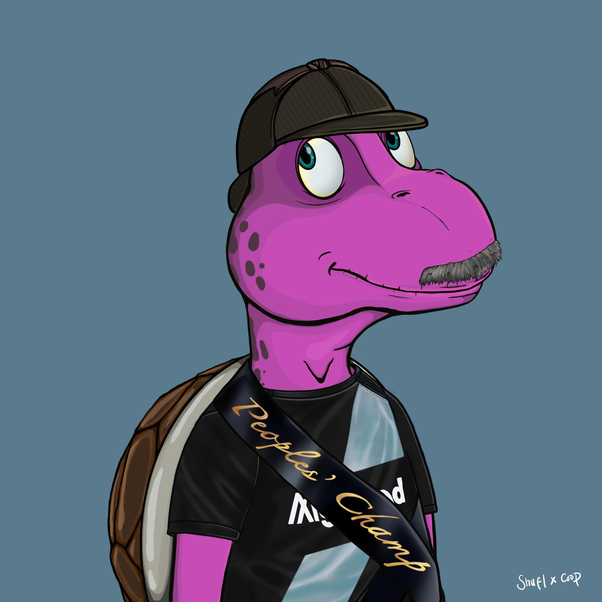 Coopa Troopa #676 NFT on Algorand