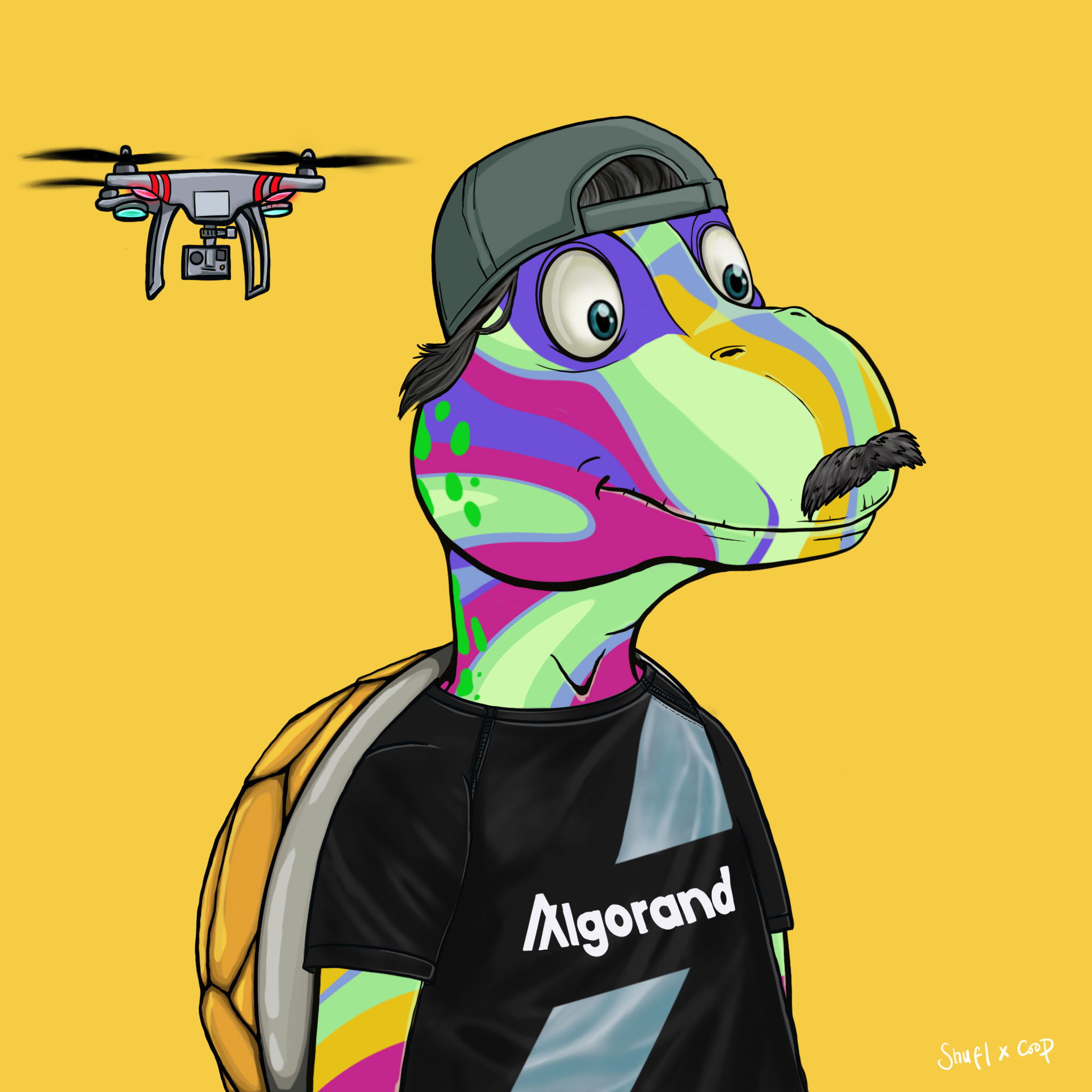 Coopa Troopa #678 NFT on Algorand