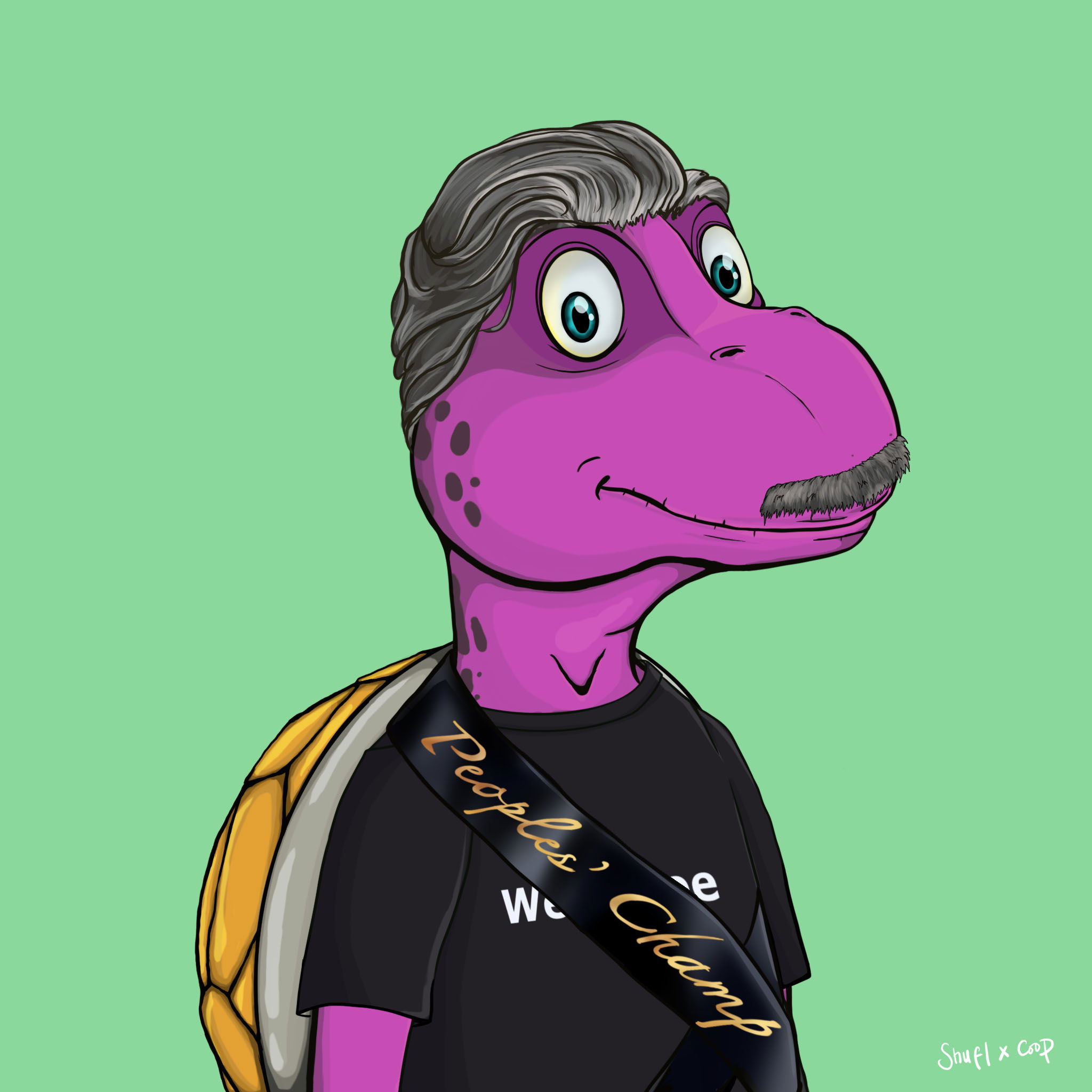 Coopa Troopa #695 NFT on Algorand