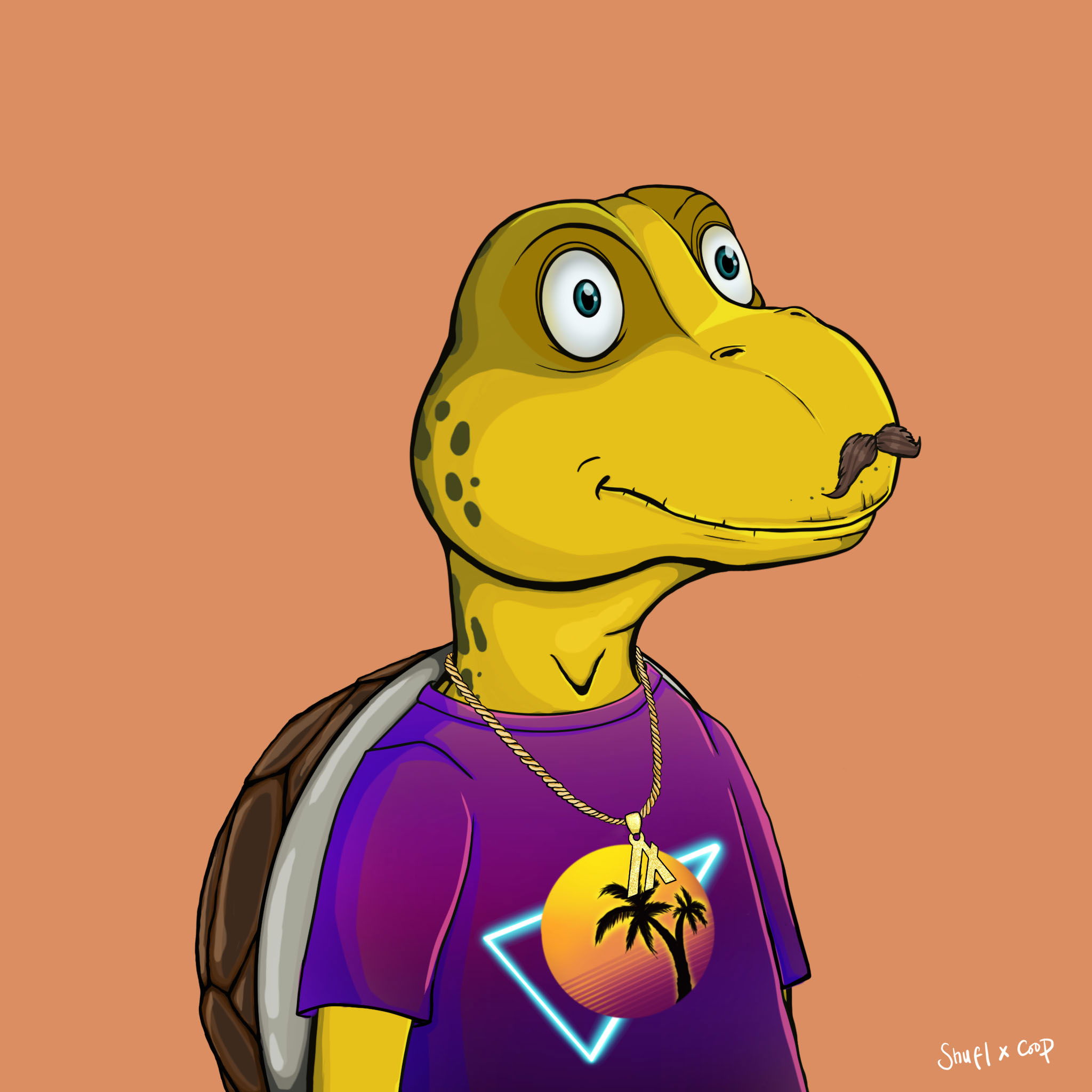 Coopa Troopa #697 NFT on Algorand