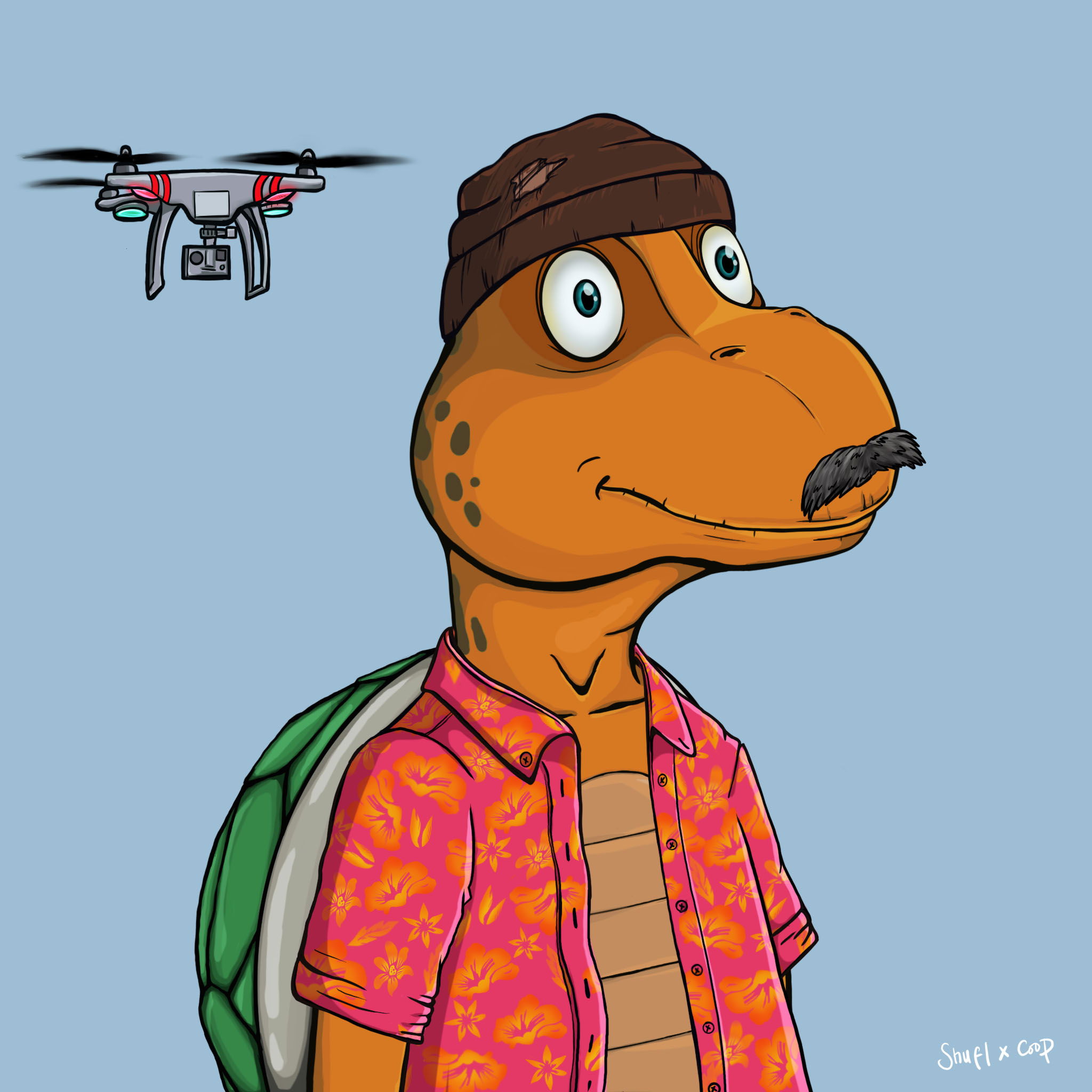 Coopa Troopa #709 NFT on Algorand