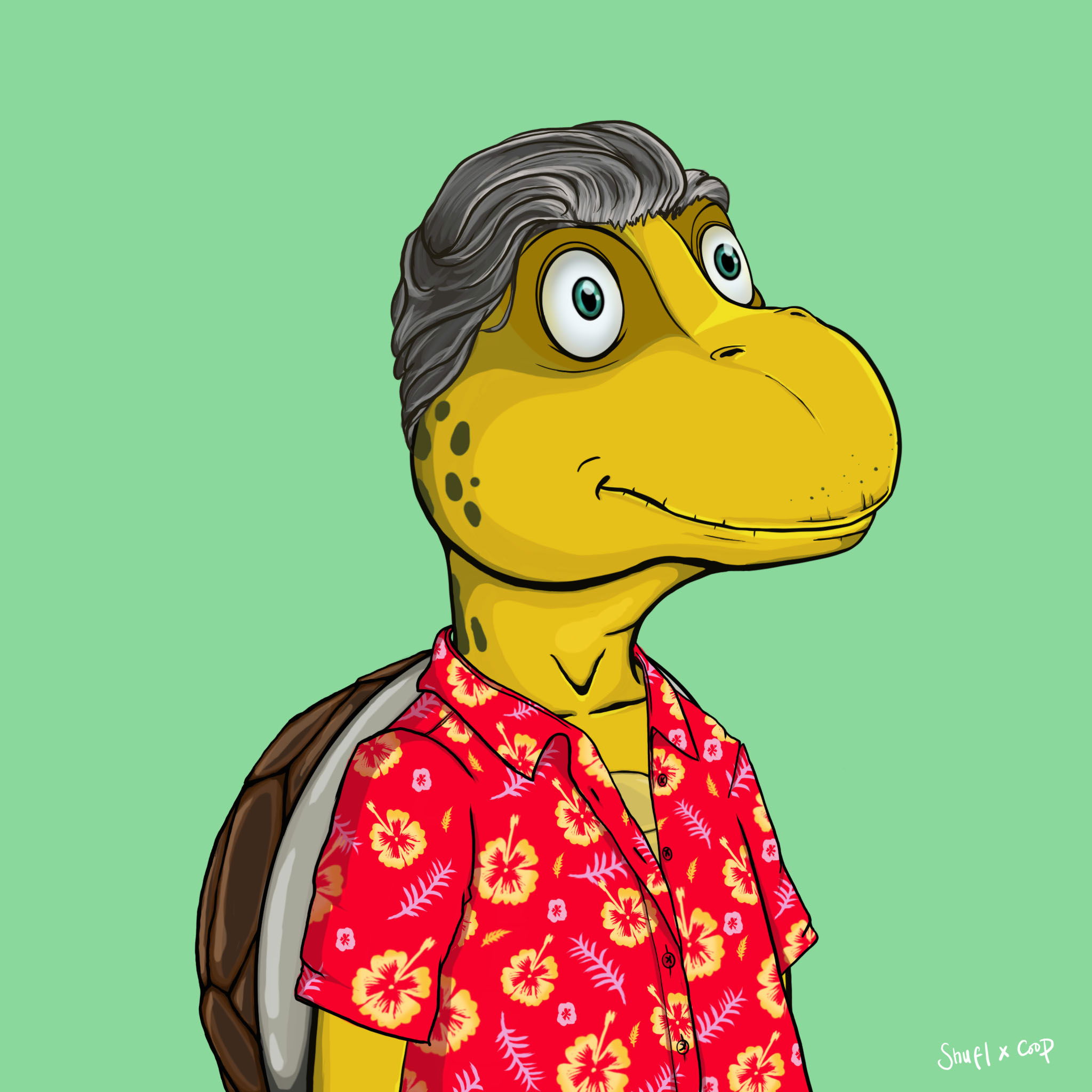 Coopa Troopa #715 NFT on Algorand