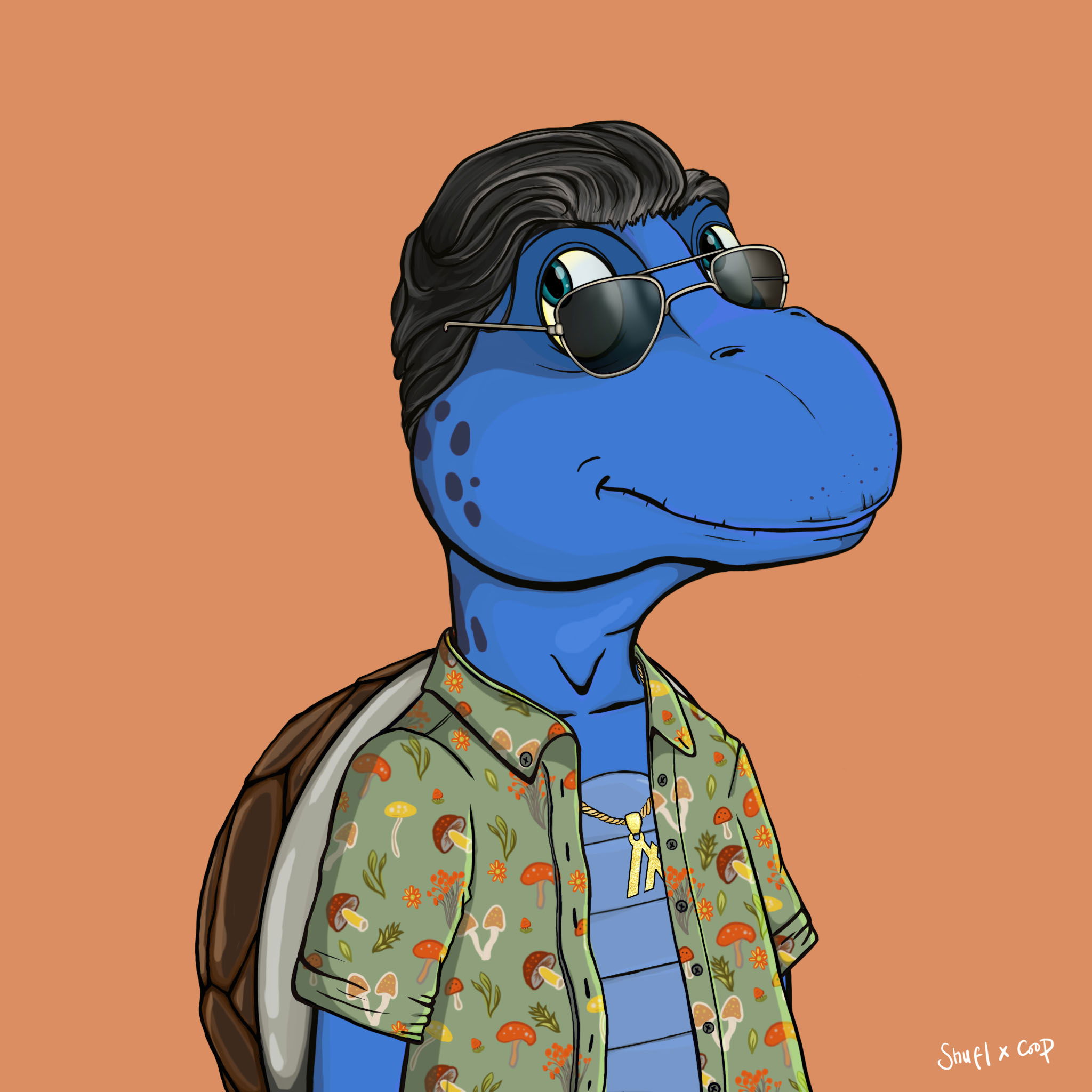 Coopa Troopa #716 NFT on Algorand