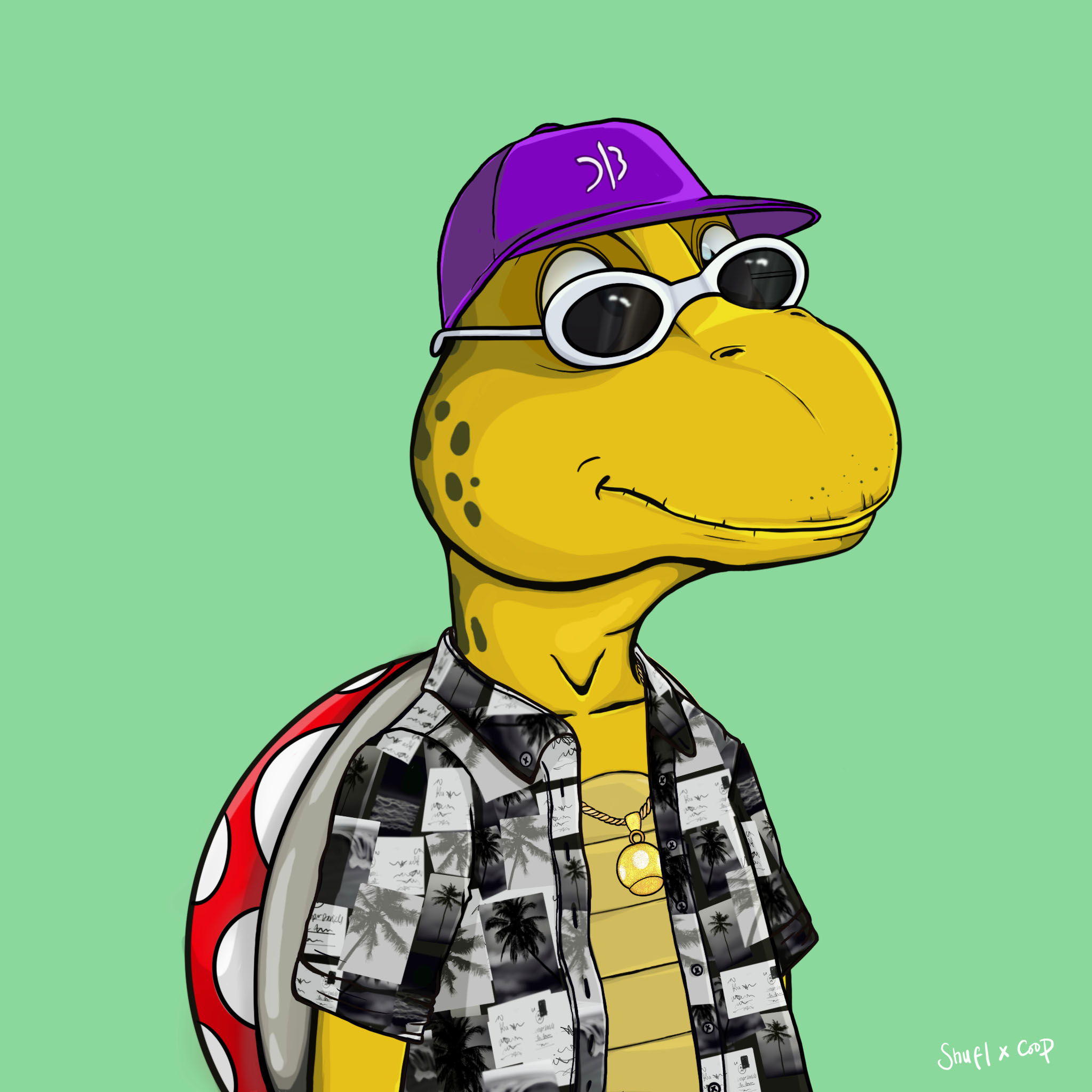 Coopa Troopa #717 NFT on Algorand