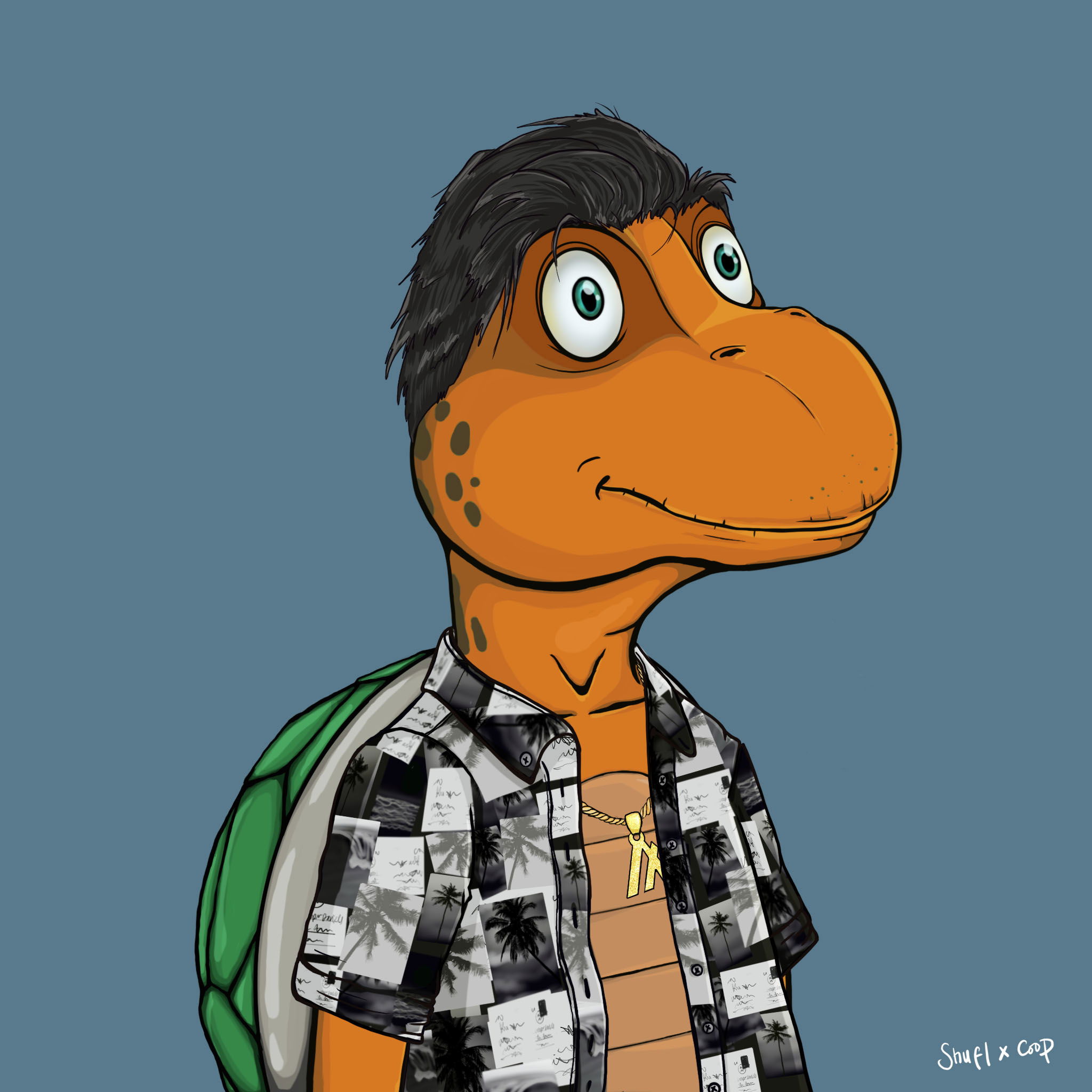 Coopa Troopa #723 NFT on Algorand