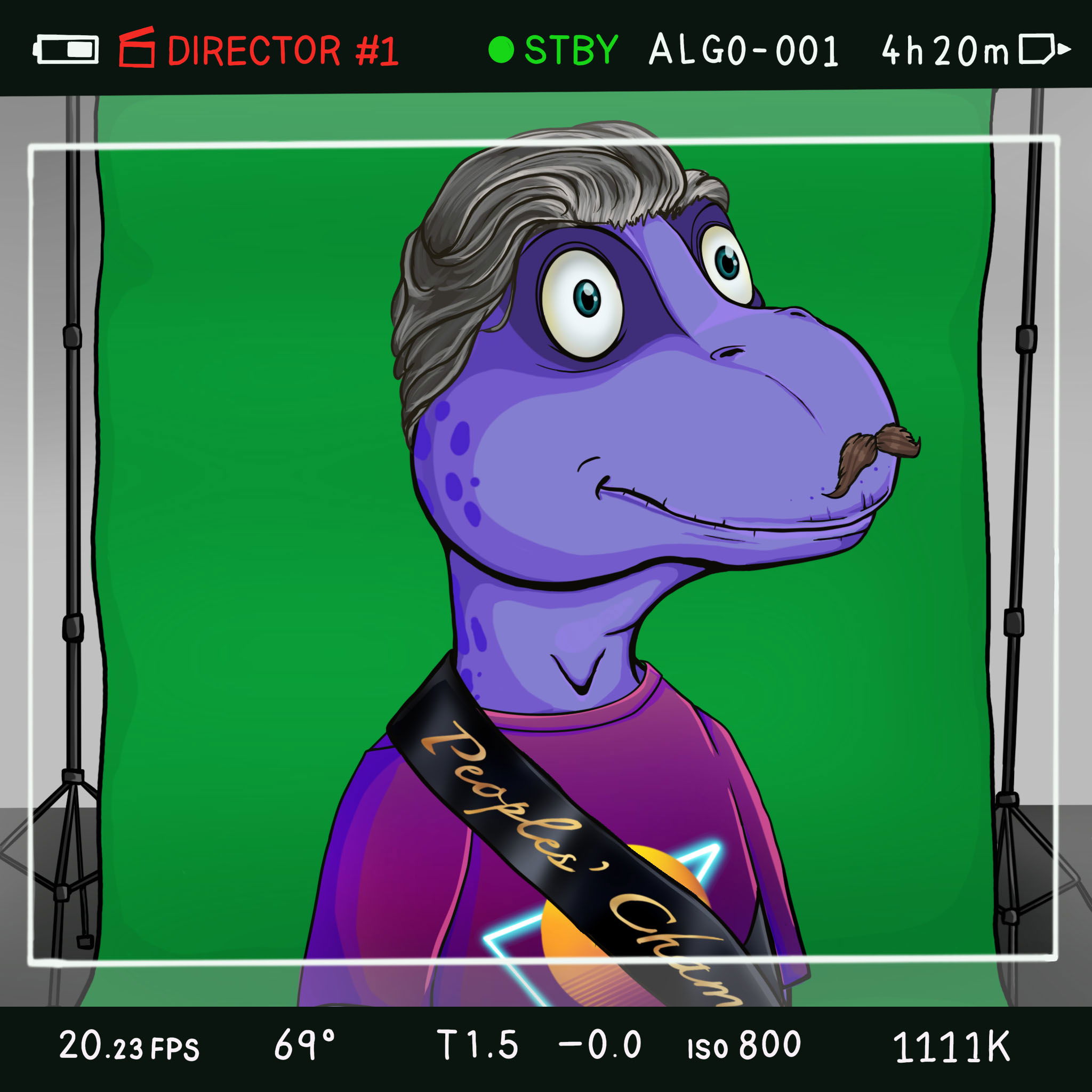 Coopa Troopa #733 NFT on Algorand