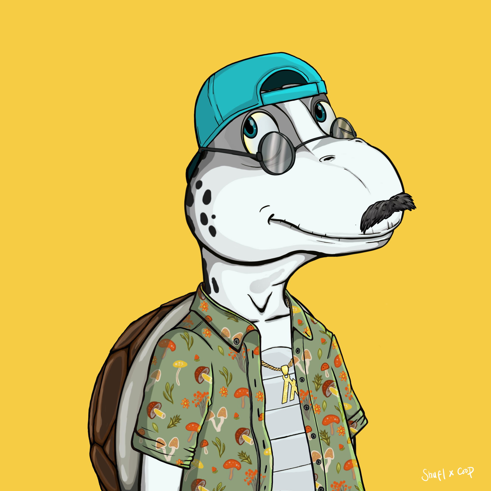 Coopa Troopa #737 NFT on Algorand