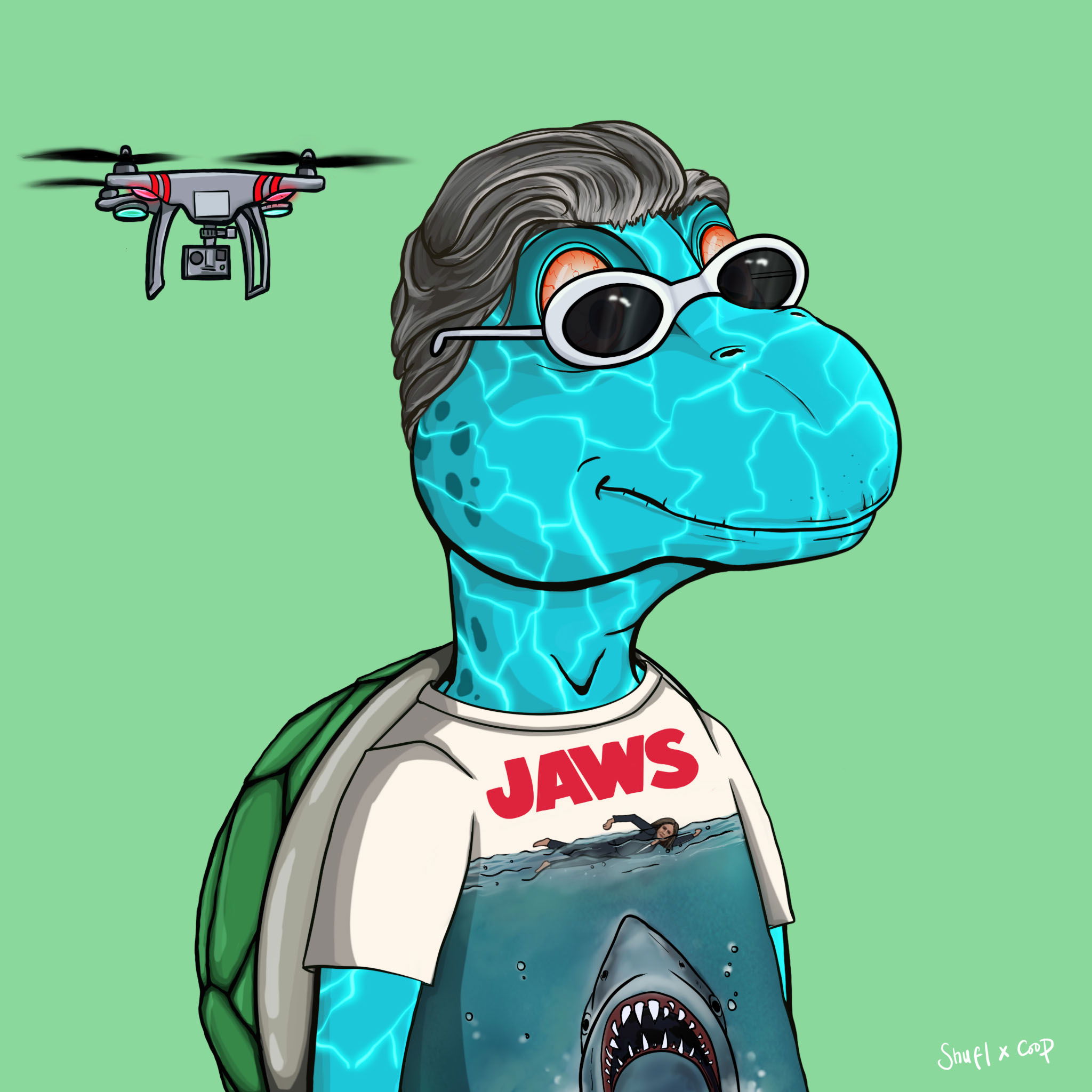 Coopa Troopa #743 NFT on Algorand