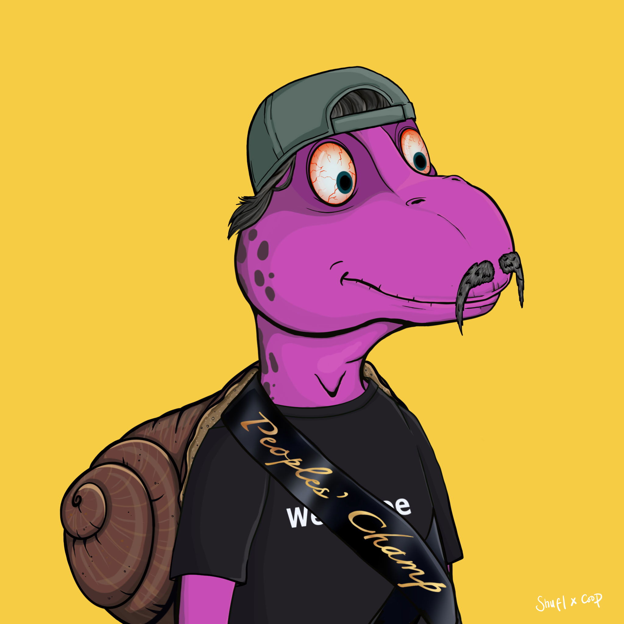 Coopa Troopa #746 NFT on Algorand