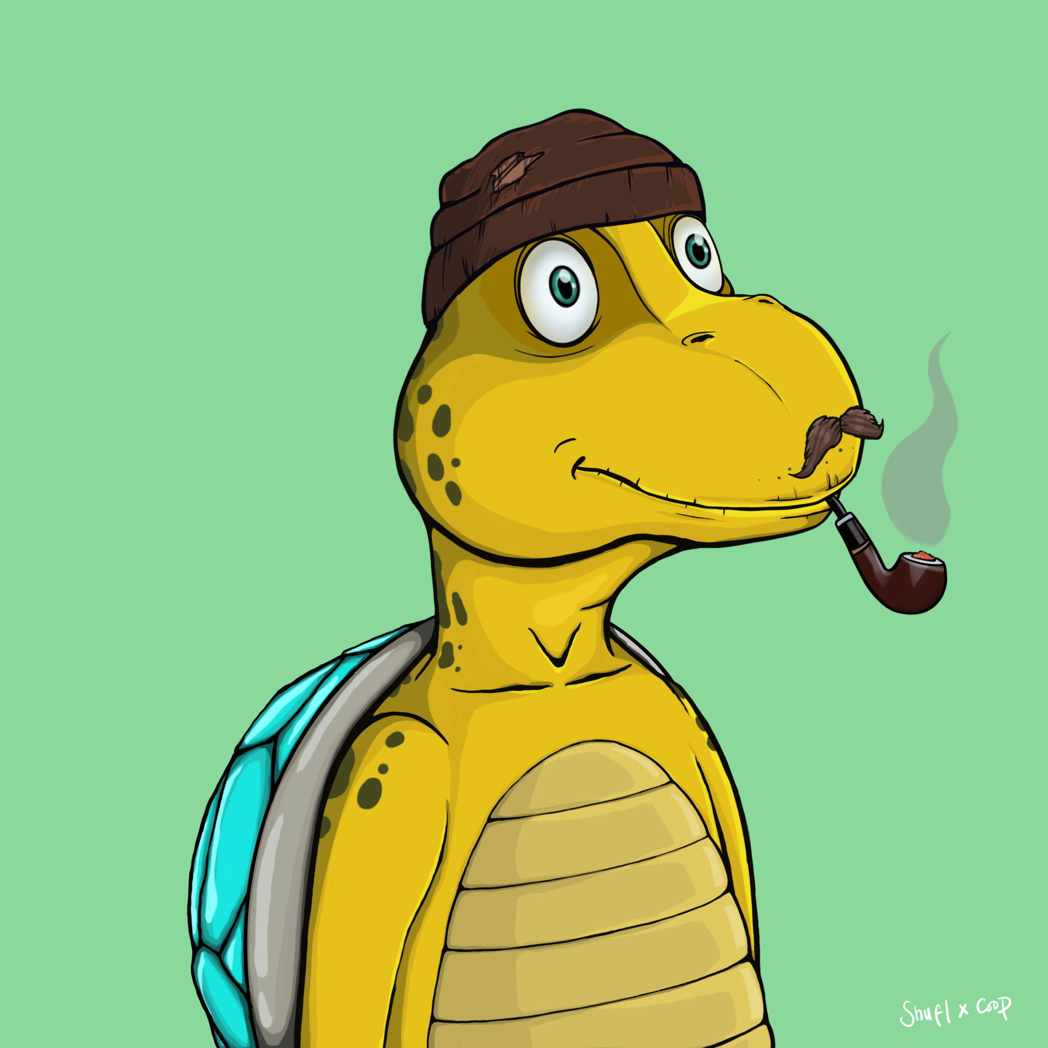 Coopa Troopa #751 NFT on Algorand