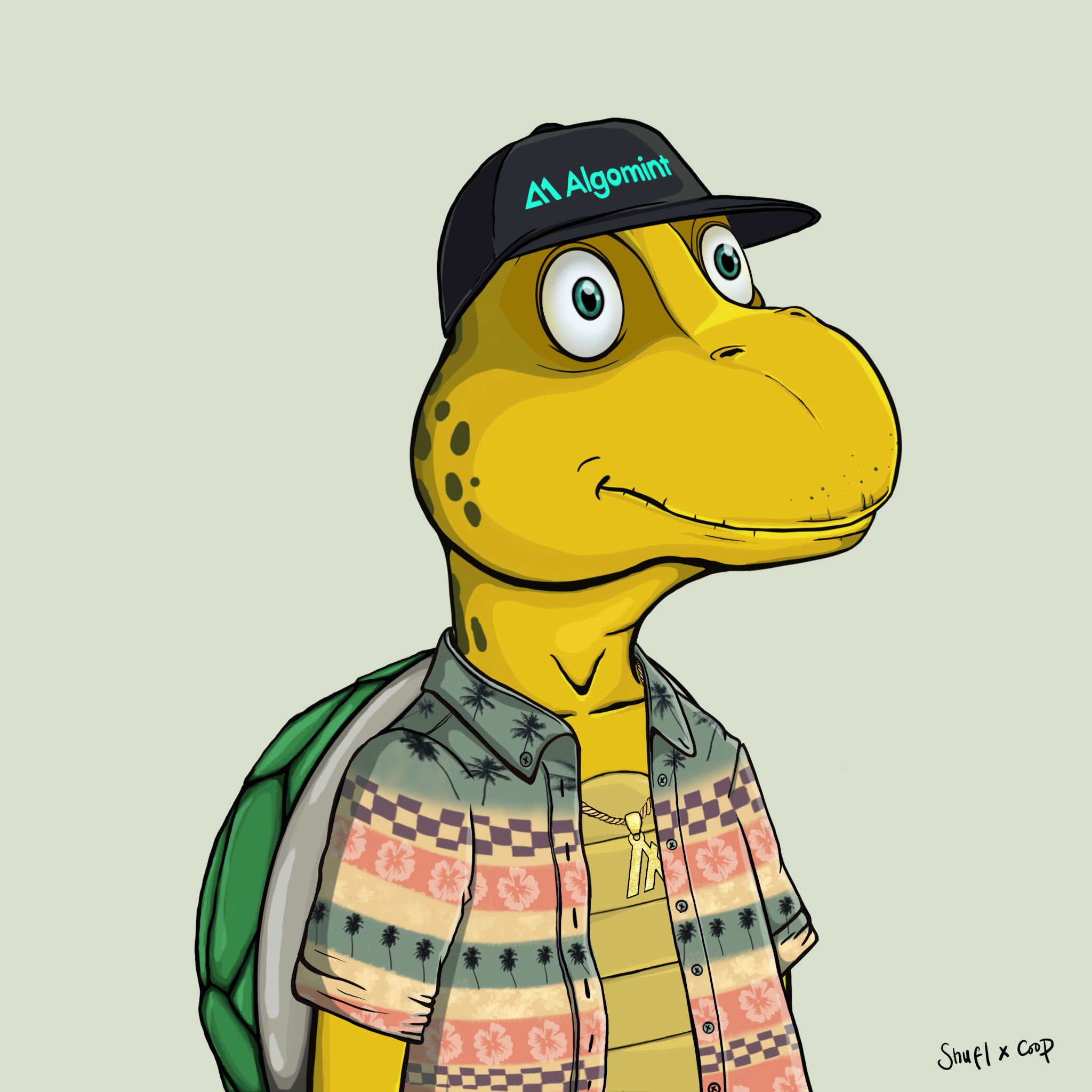 Coopa Troopa #755 NFT on Algorand