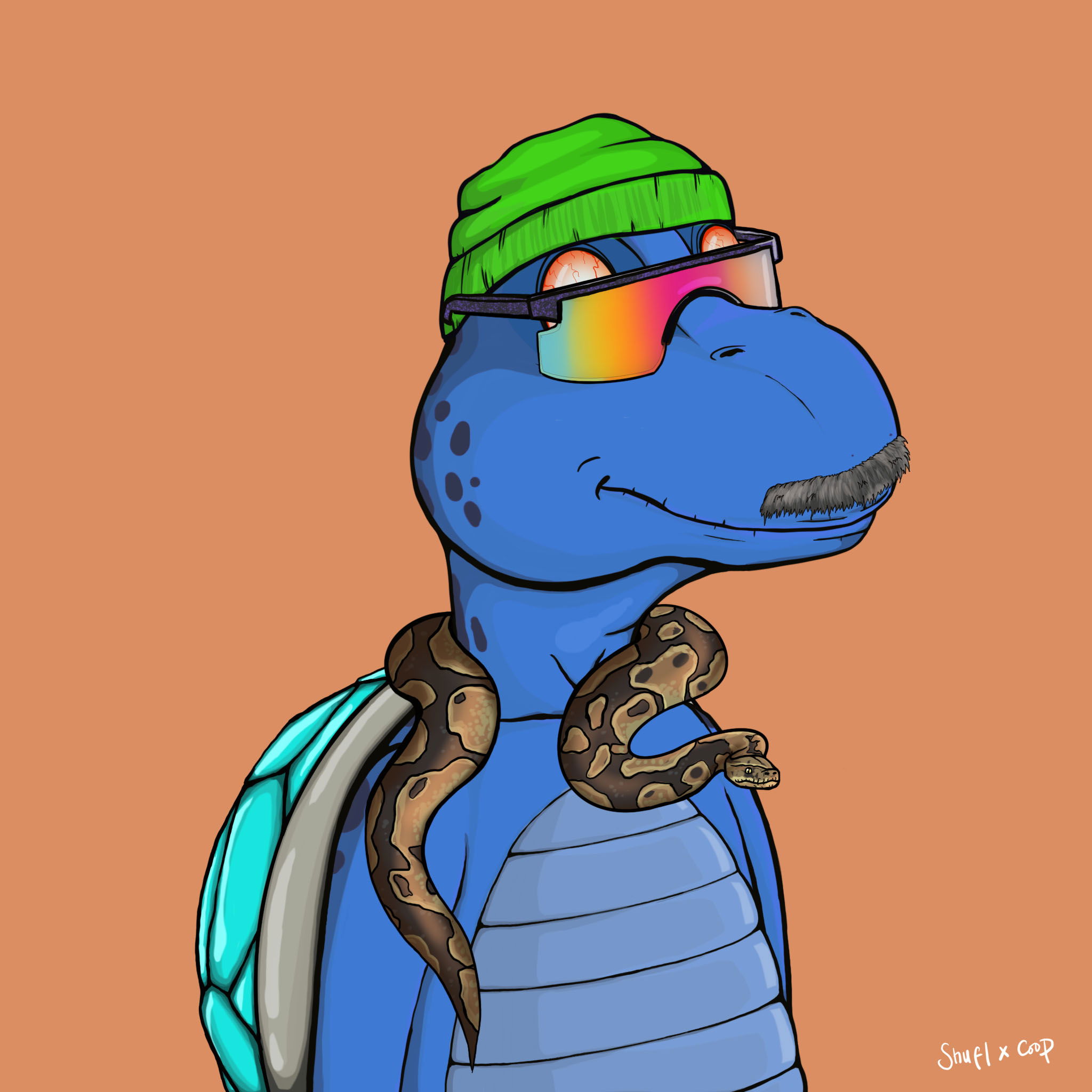 Coopa Troopa #757 NFT on Algorand