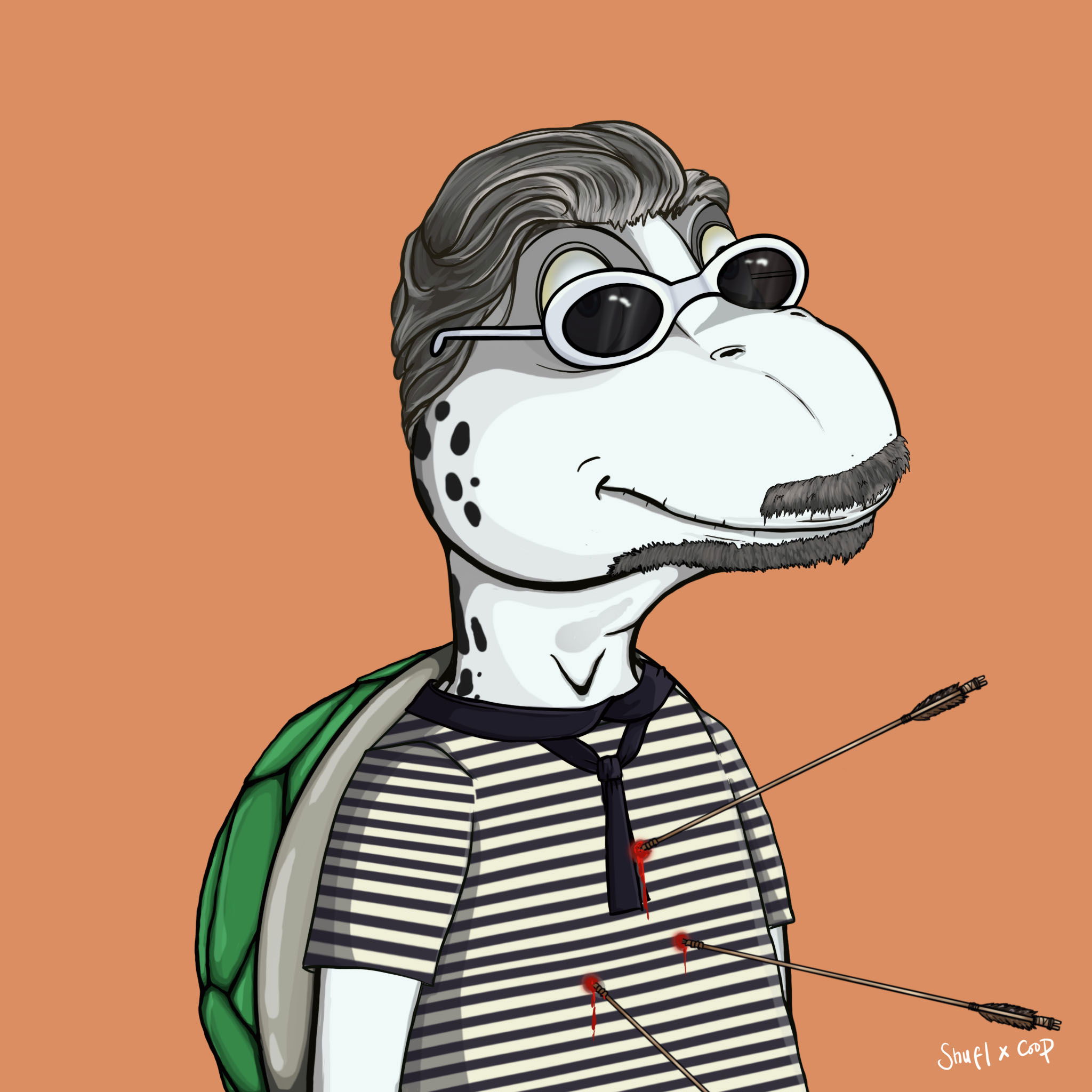 Coopa Troopa #763 NFT on Algorand