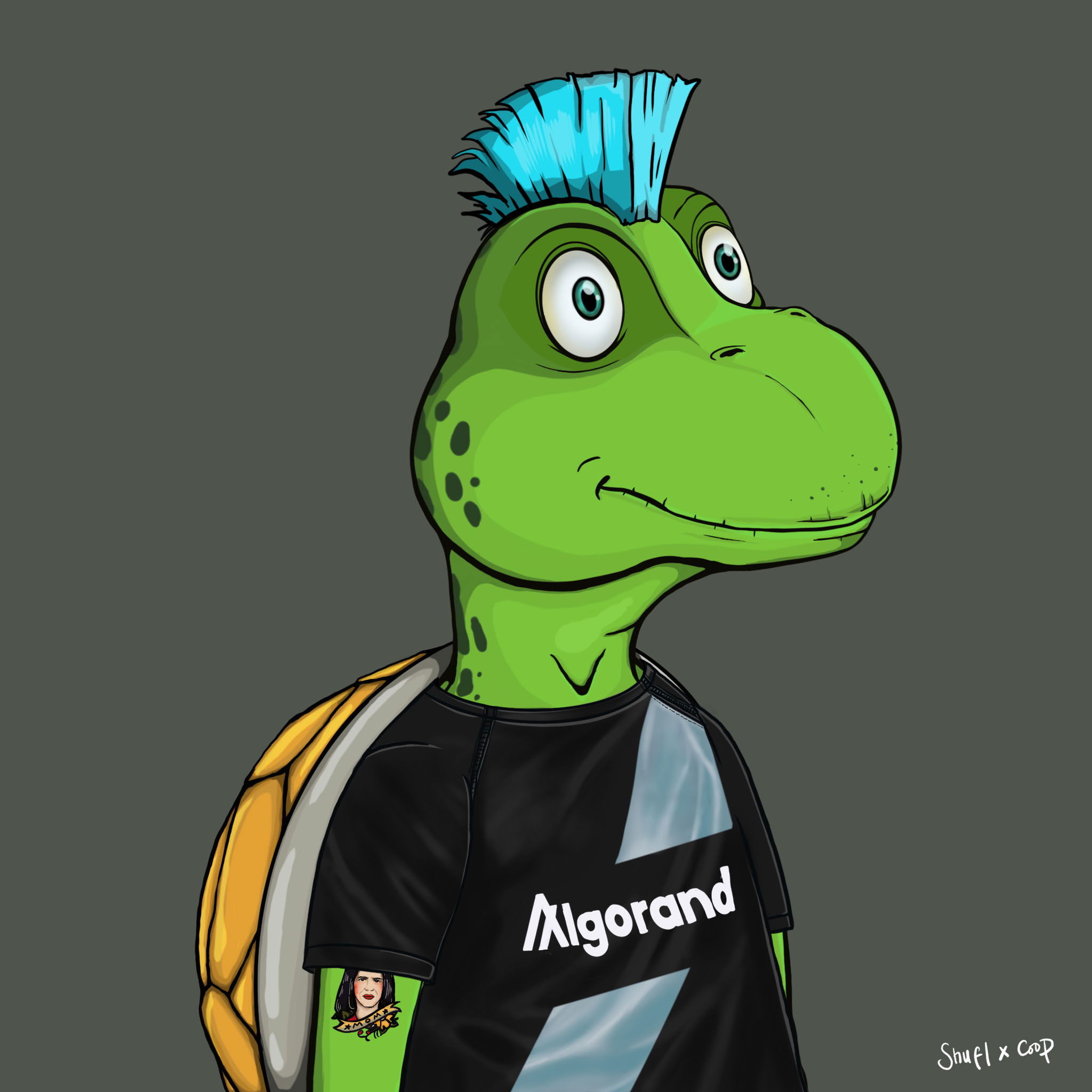 Coopa Troopa #764 NFT on Algorand