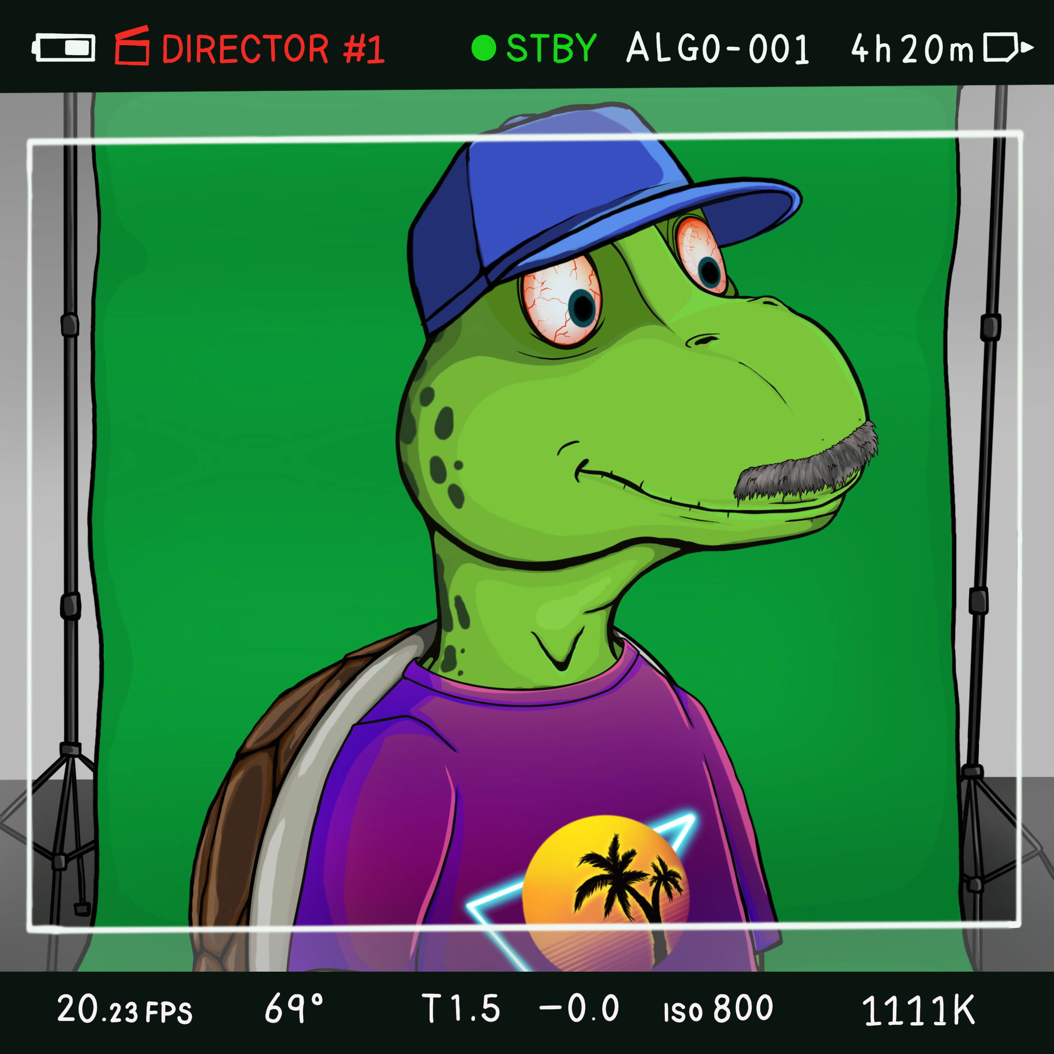 Coopa Troopa #771 NFT on Algorand