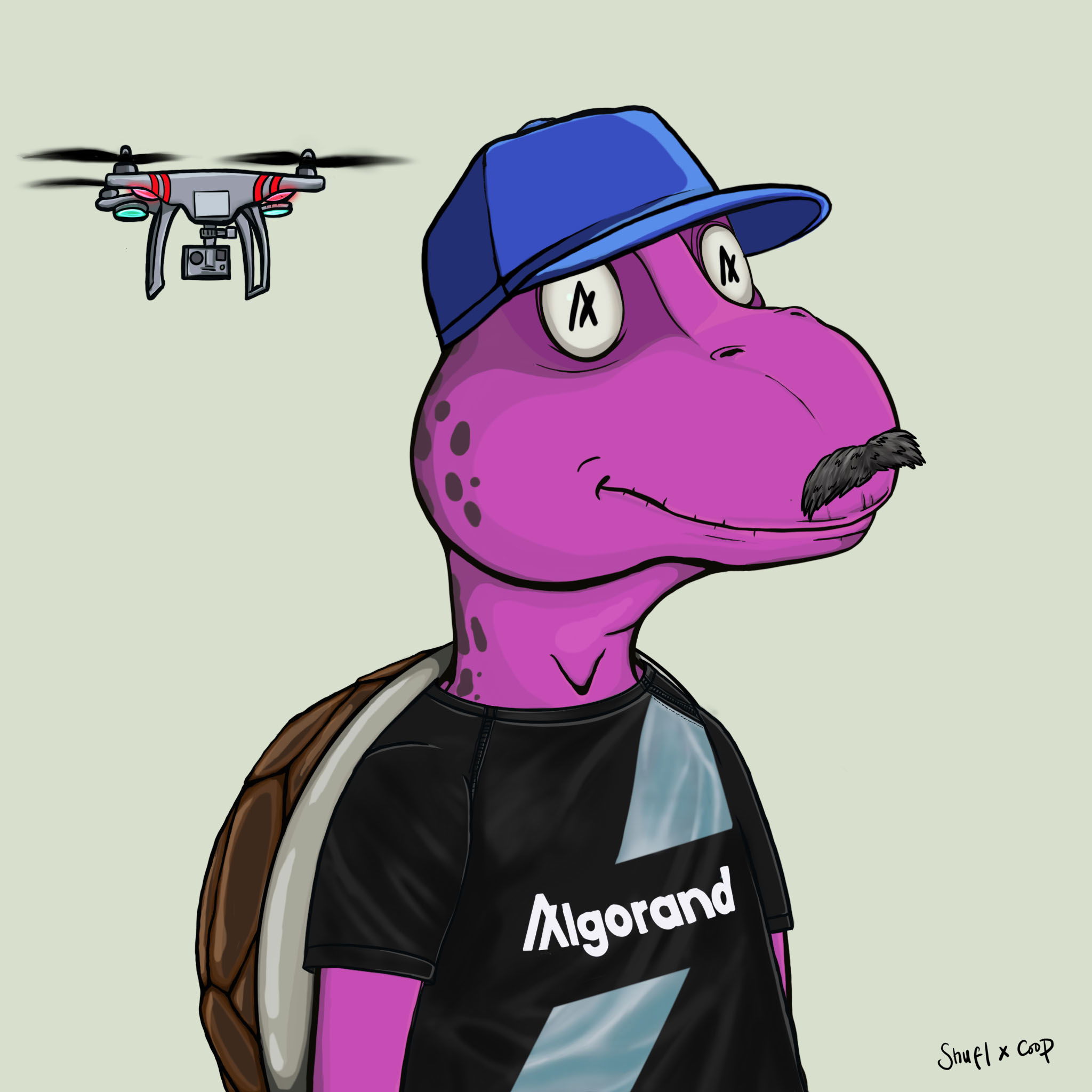 Coopa Troopa #789 NFT on Algorand