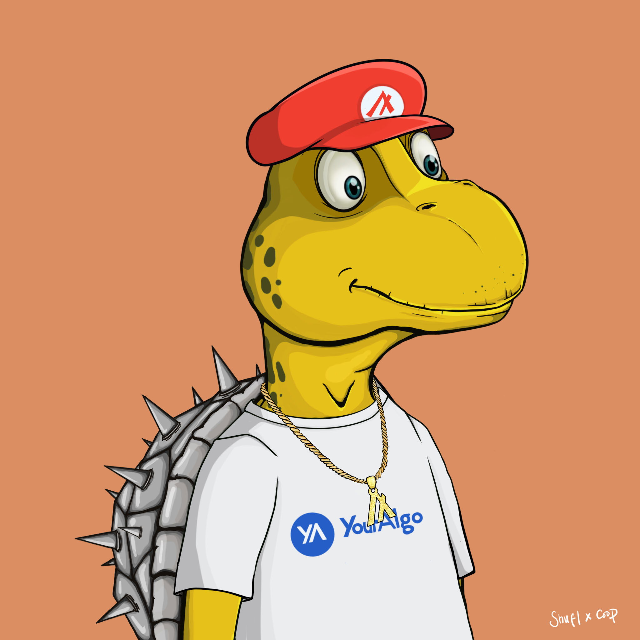 Coopa Troopa #794 NFT on Algorand