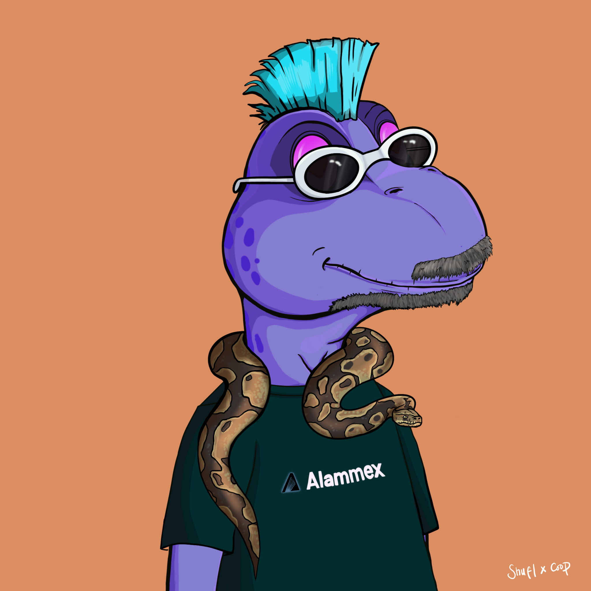 Coopa Troopa #804 NFT on Algorand