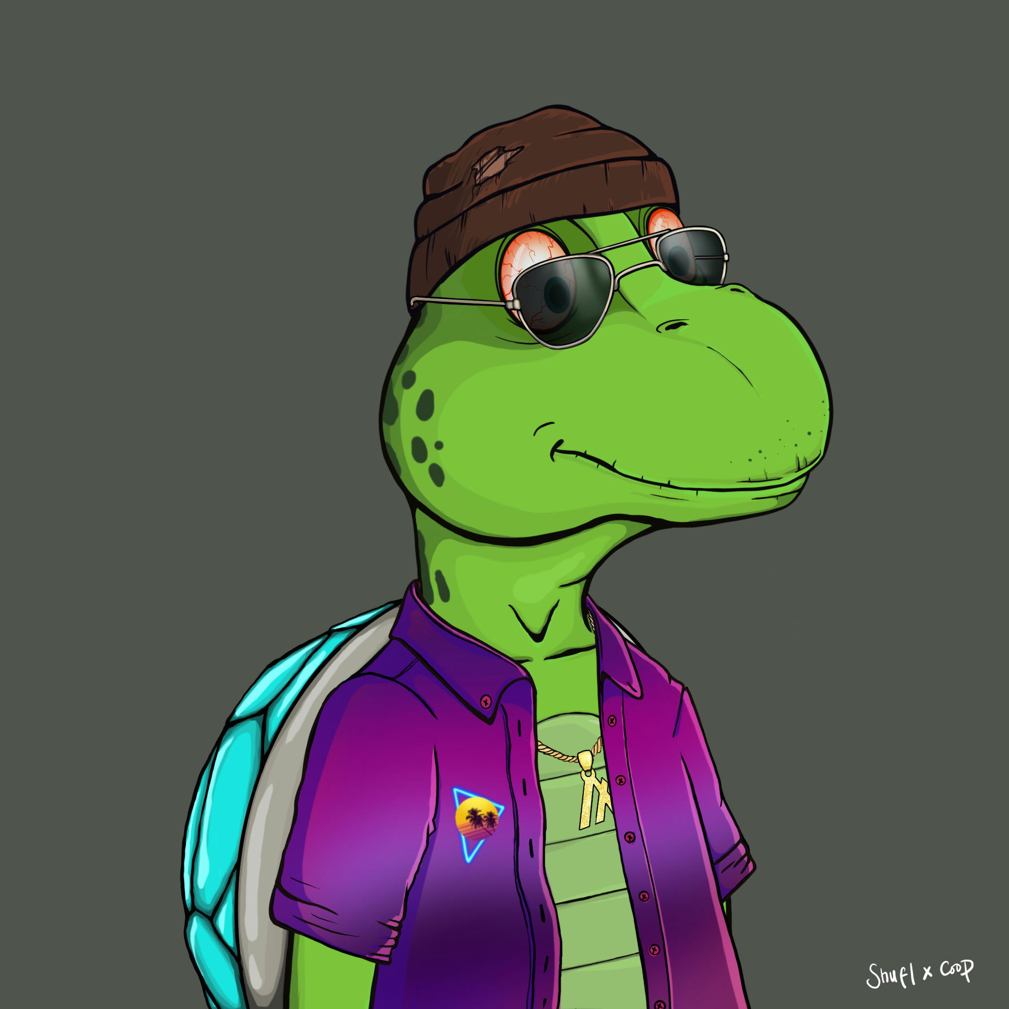 Coopa Troopa #806 NFT on Algorand