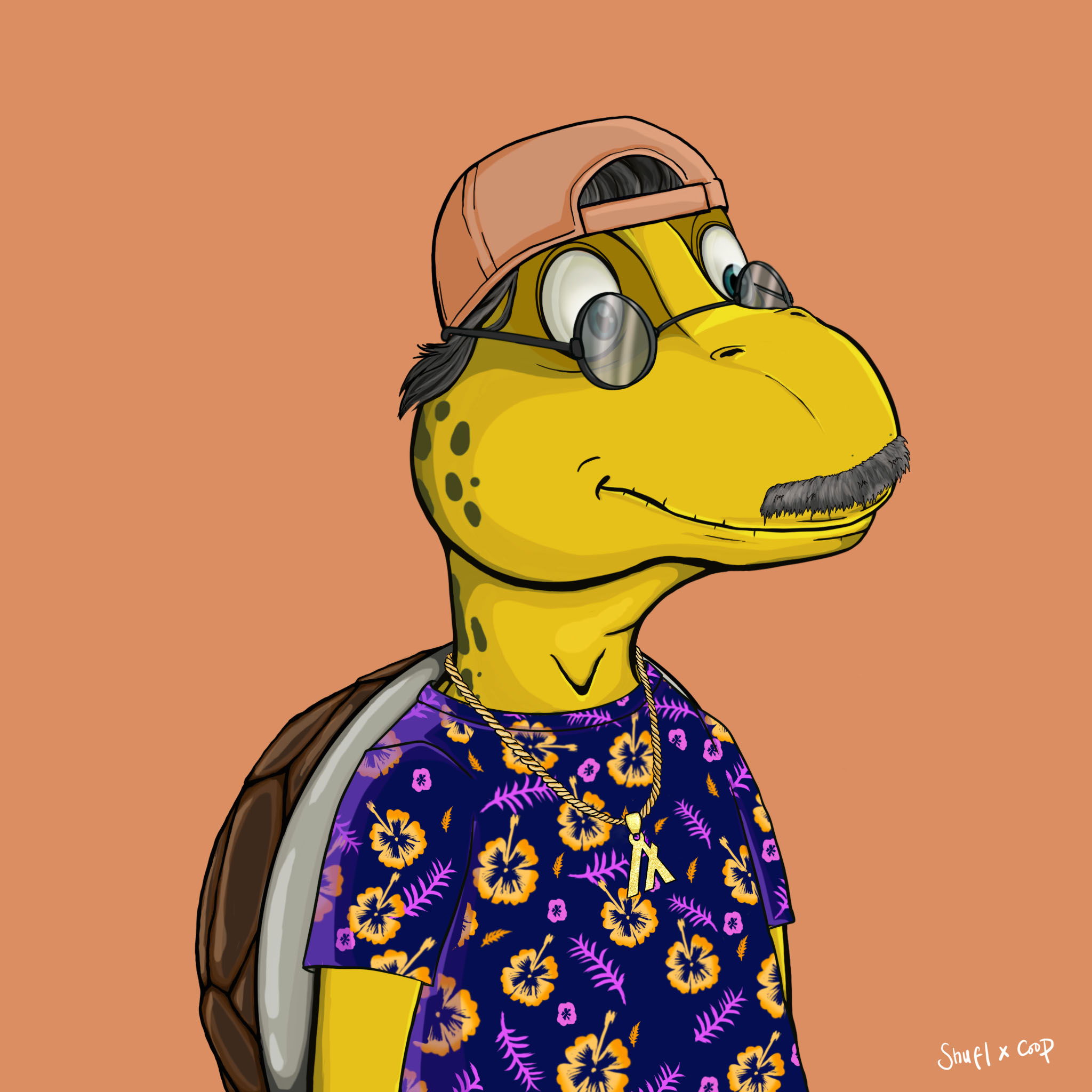 Coopa Troopa #828 NFT on Algorand