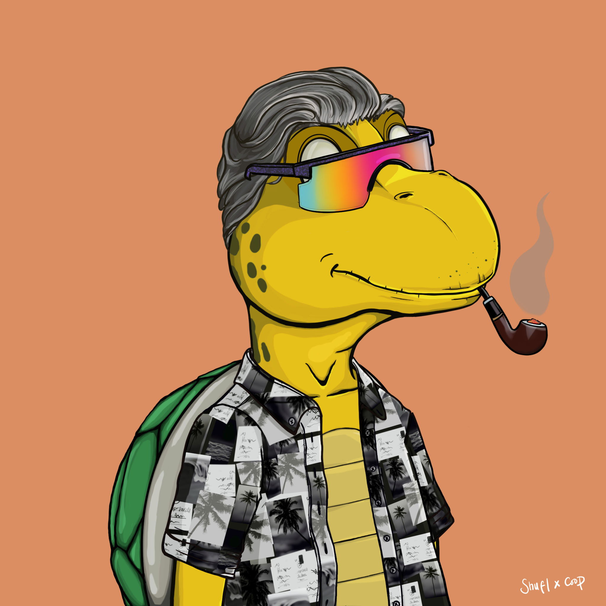 Coopa Troopa #836 NFT on Algorand