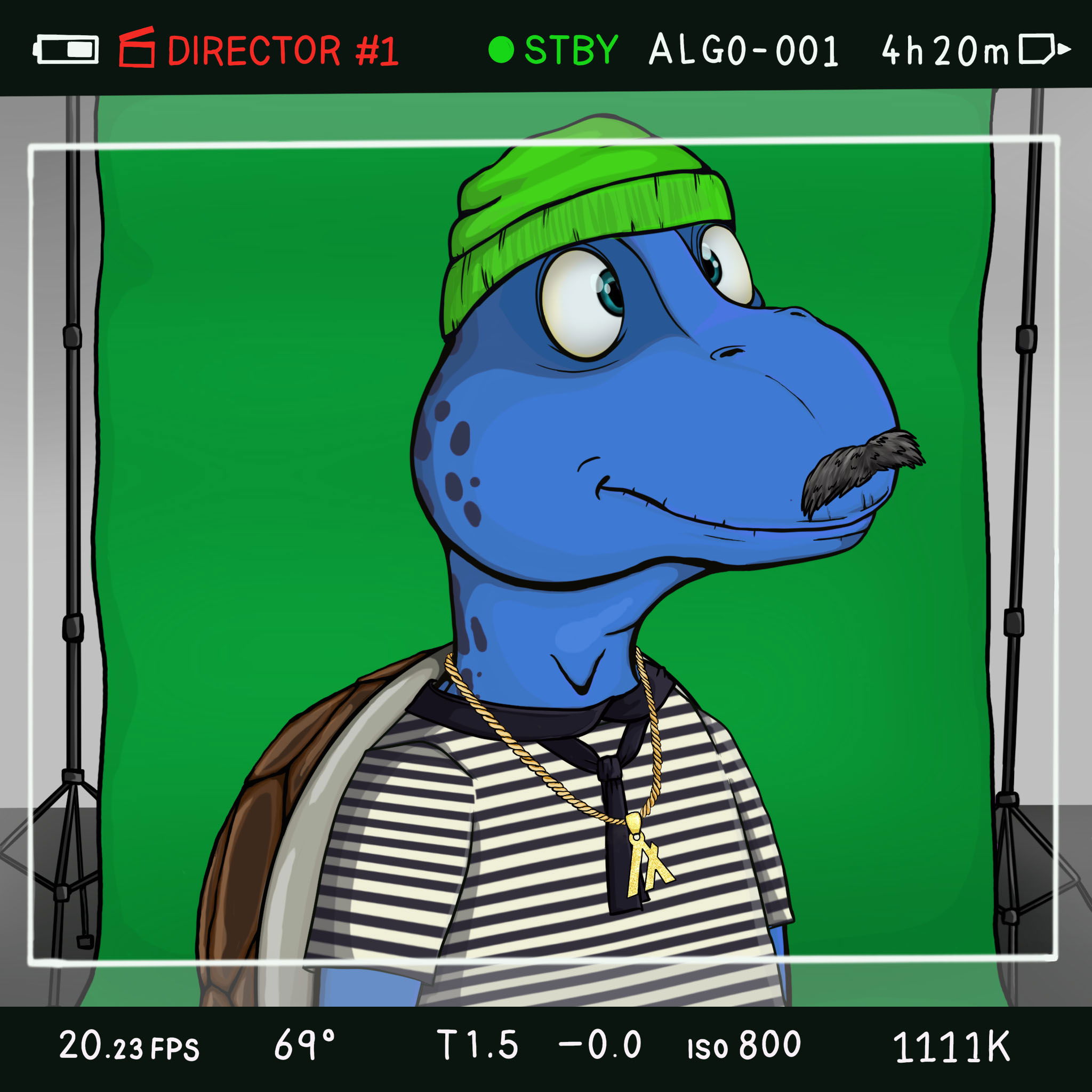 Coopa Troopa #841 NFT on Algorand