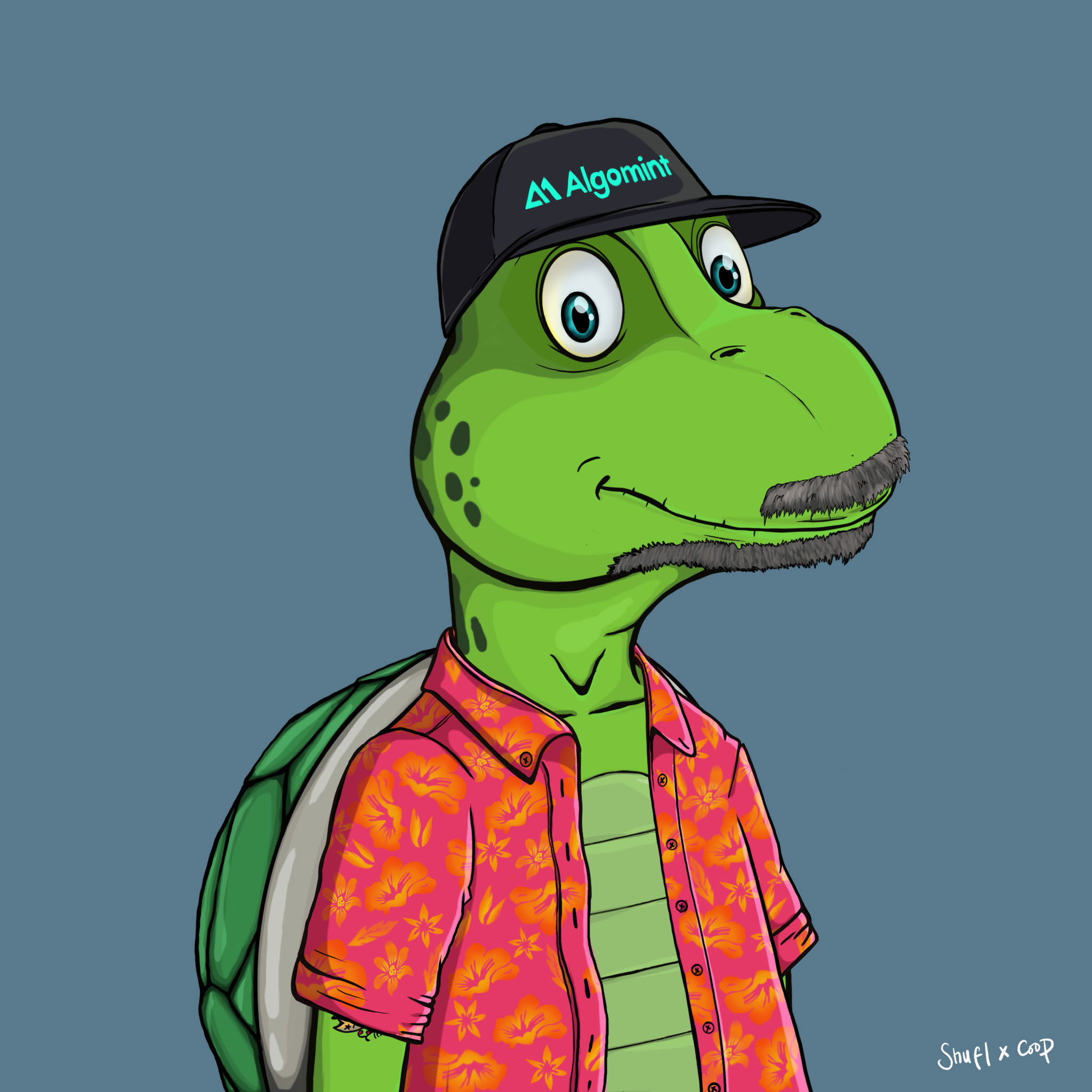 Coopa Troopa #851 NFT on Algorand