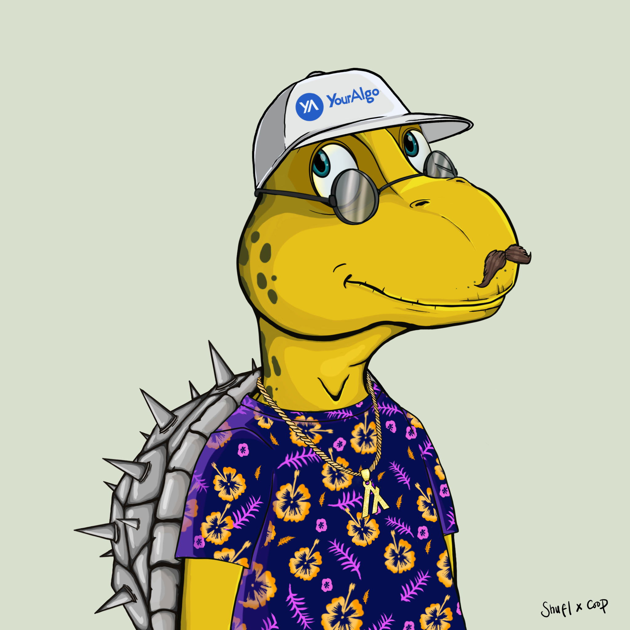 Coopa Troopa #857 NFT on Algorand