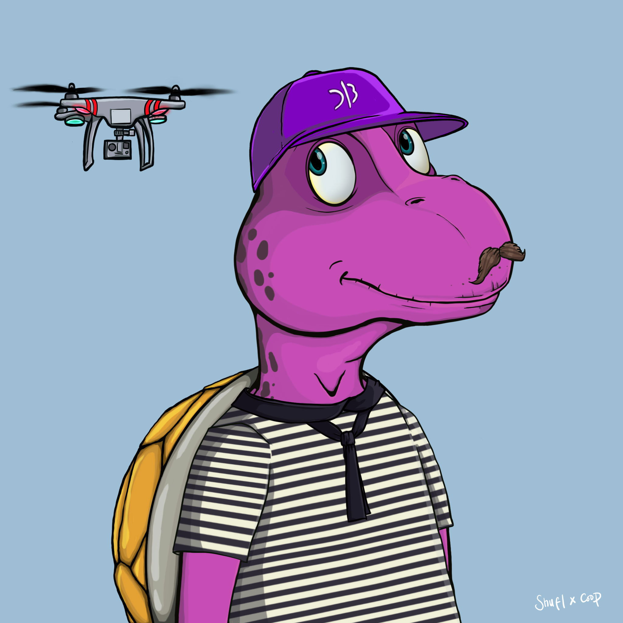 Coopa Troopa #884 NFT on Algorand