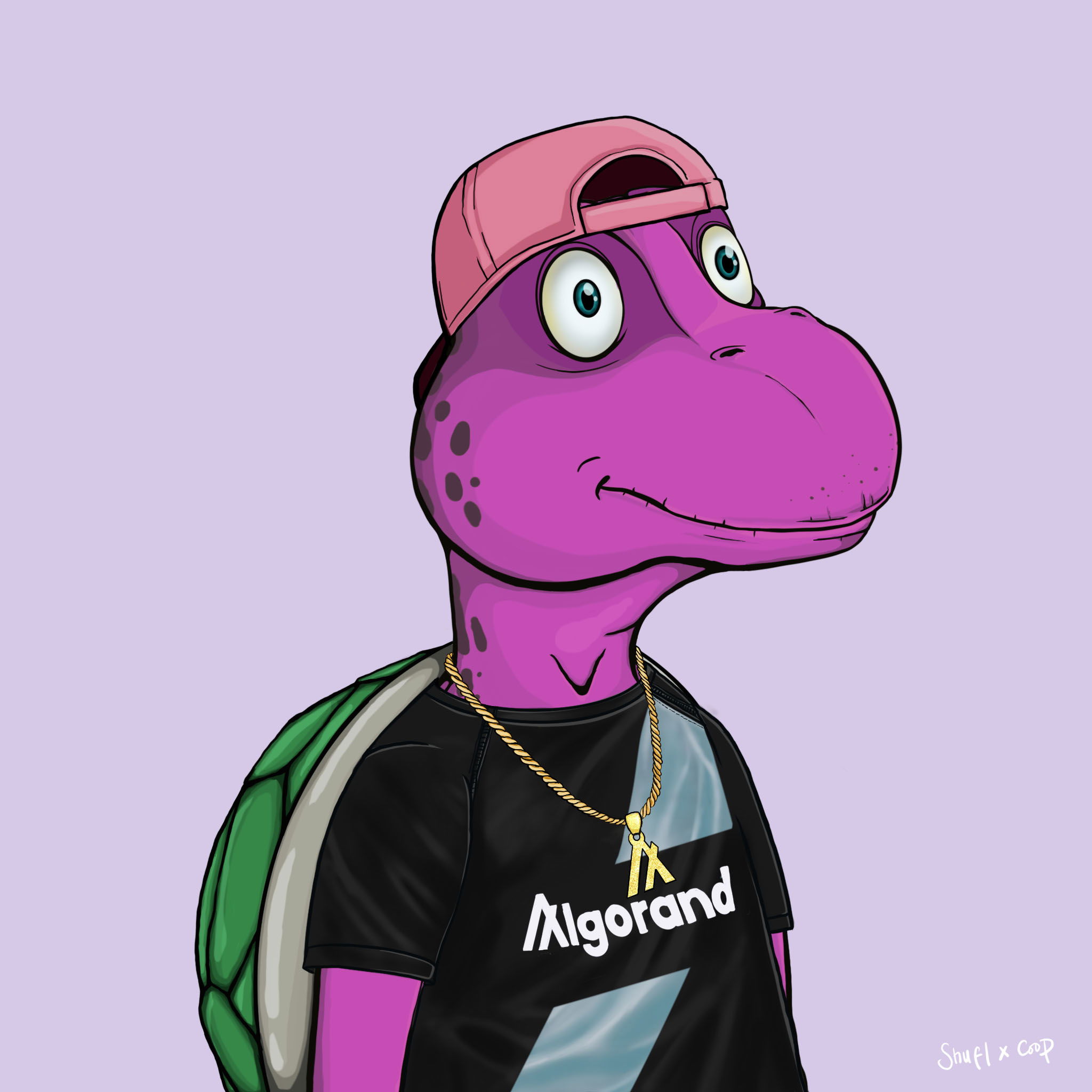 Coopa Troopa #885 NFT on Algorand