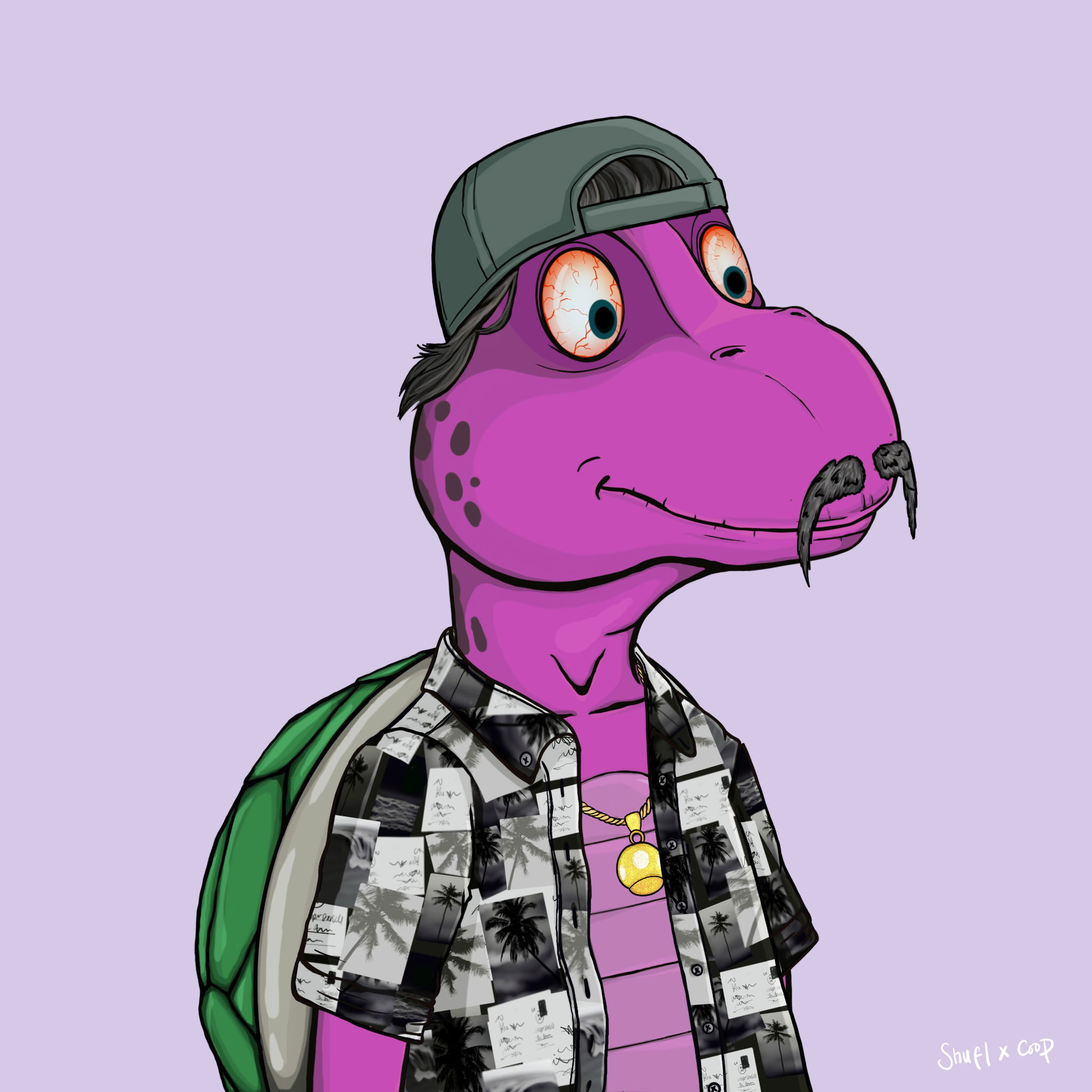 Coopa Troopa #894 NFT on Algorand