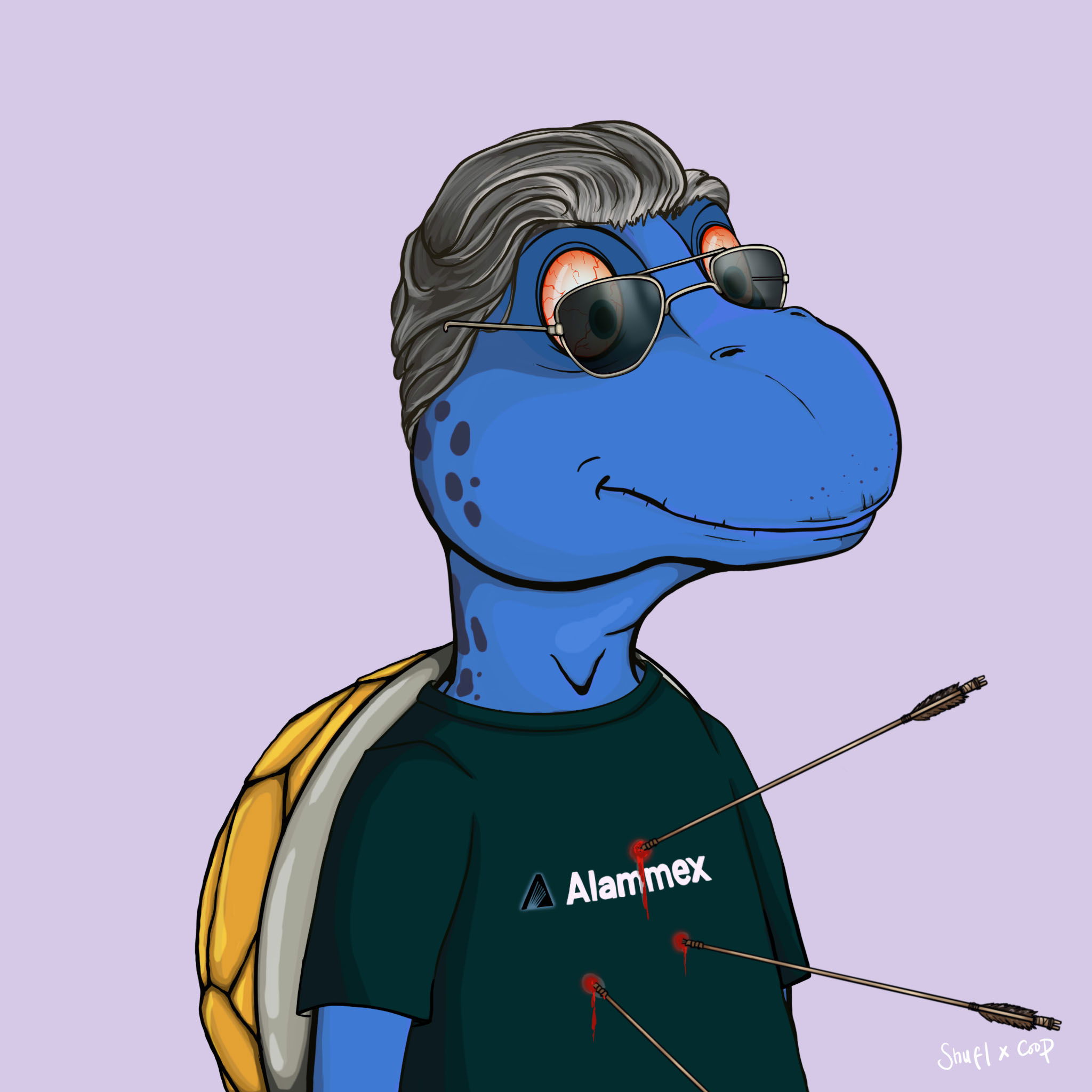 Coopa Troopa #911 NFT on Algorand