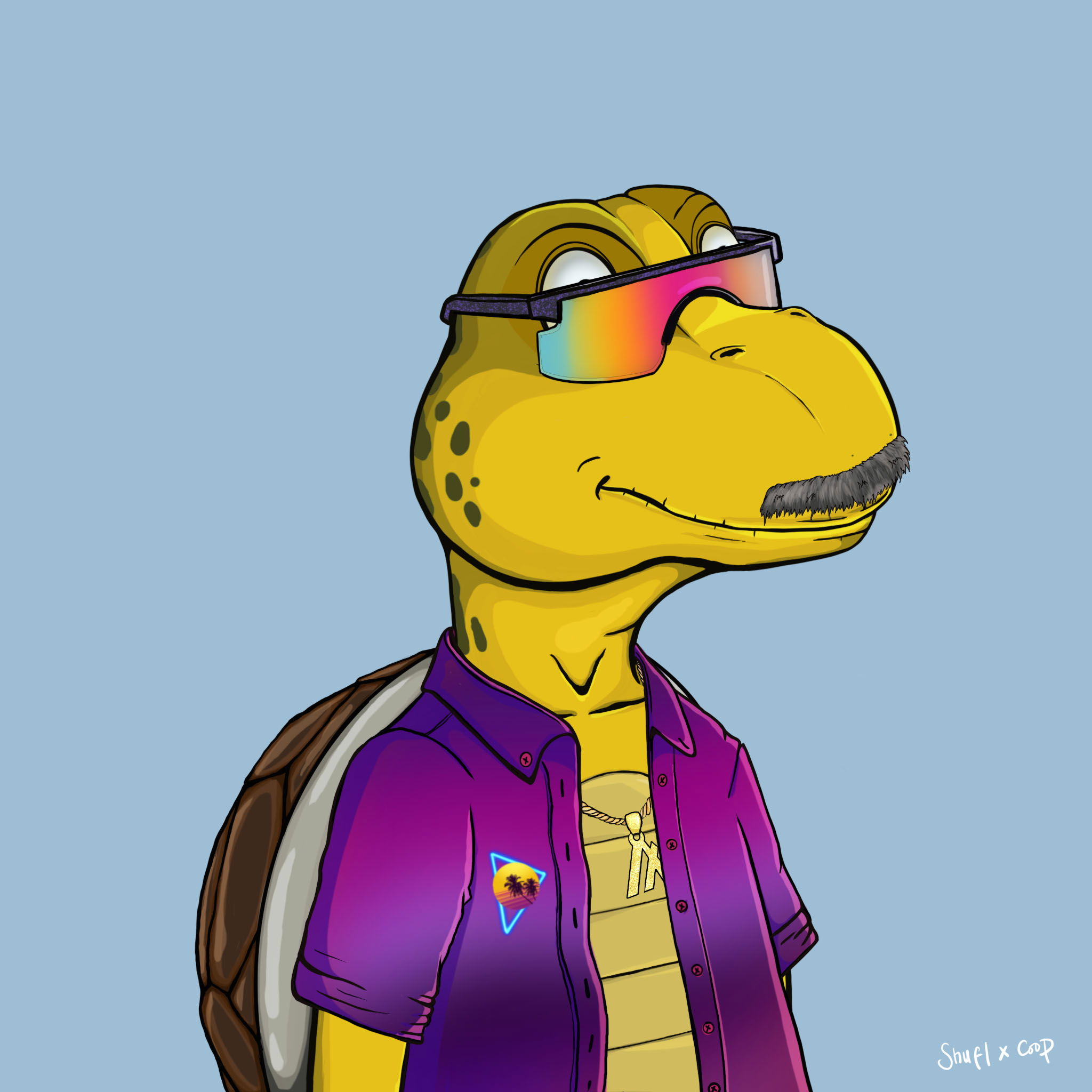 Coopa Troopa #917 NFT on Algorand