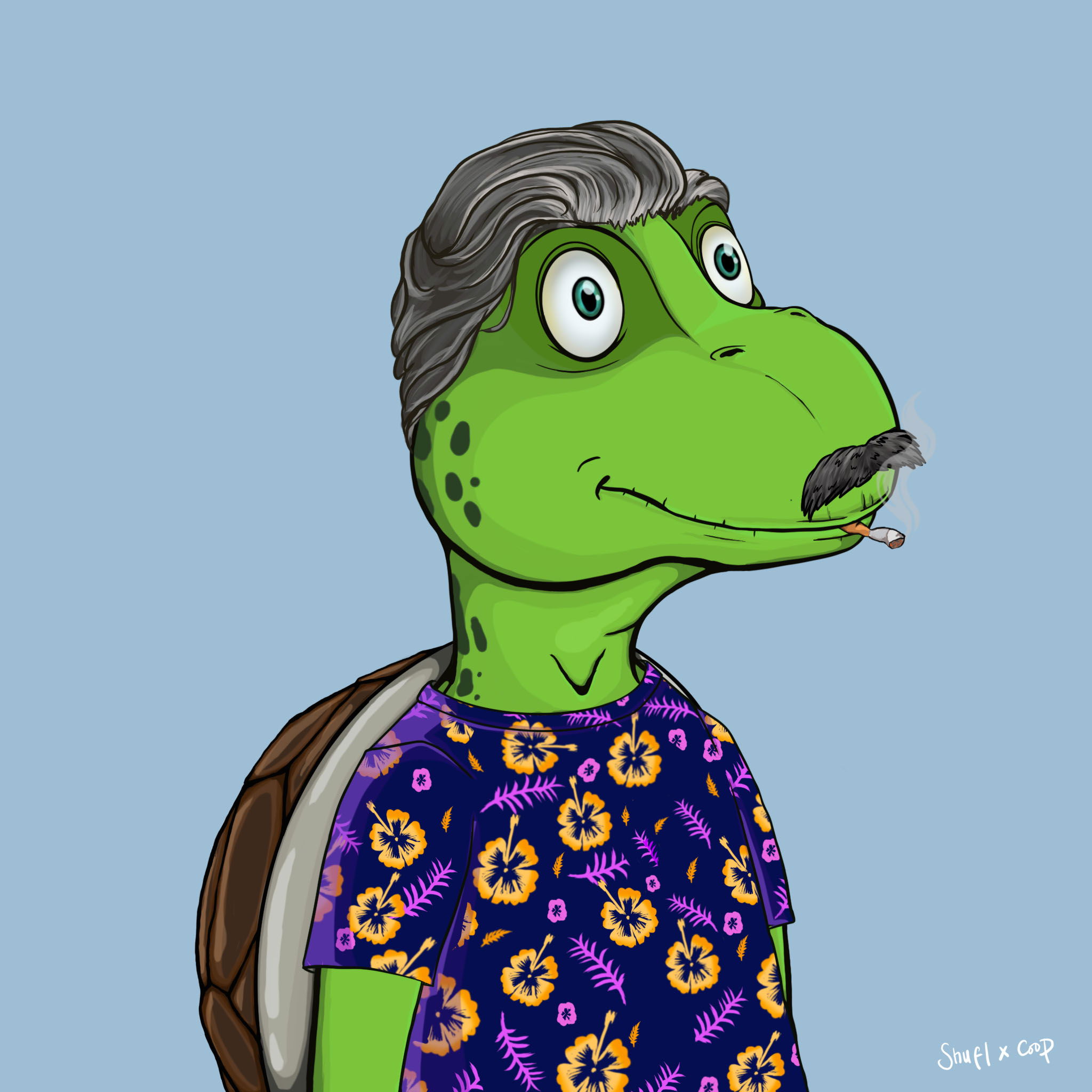 Coopa Troopa #919 NFT on Algorand