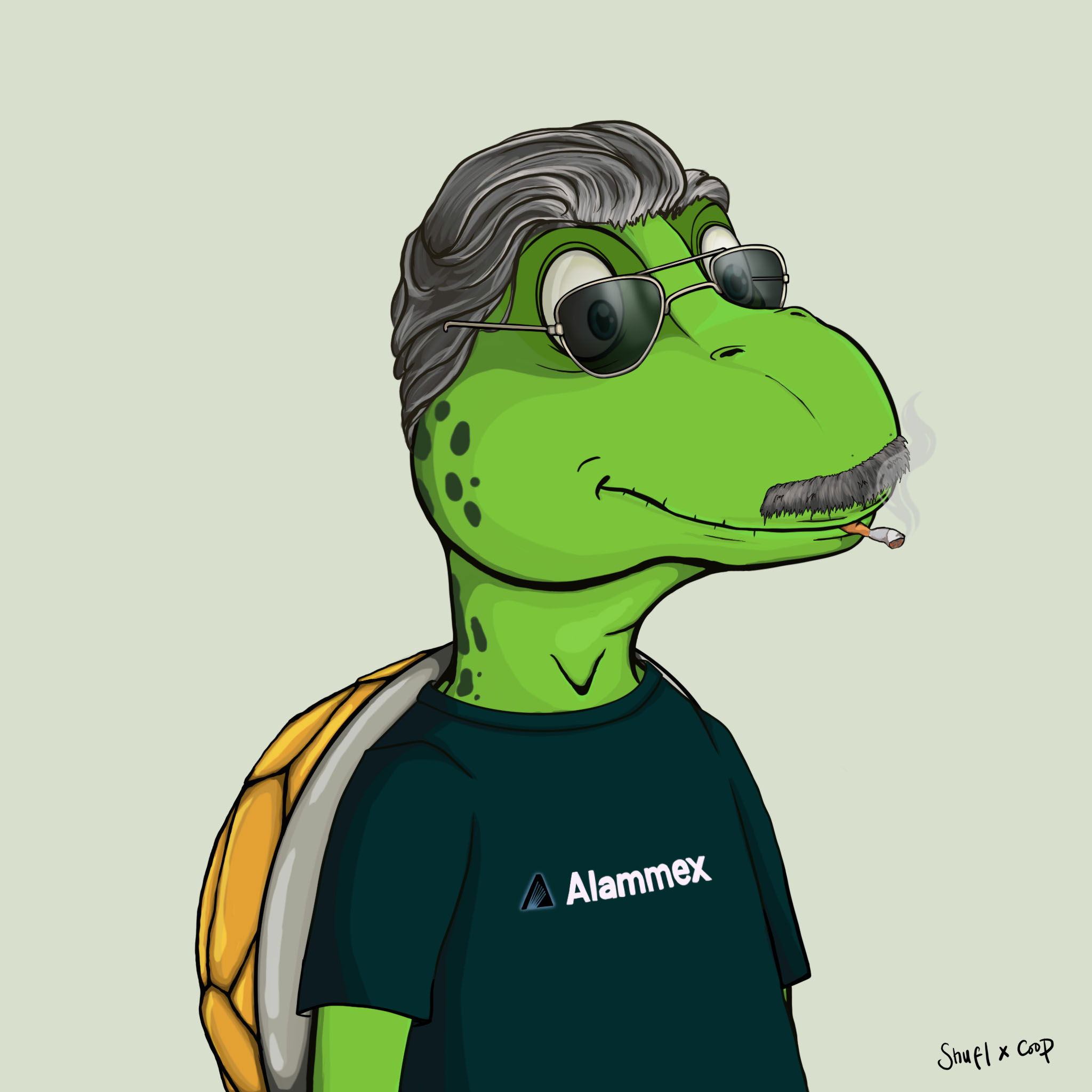 Coopa Troopa #944 NFT on Algorand