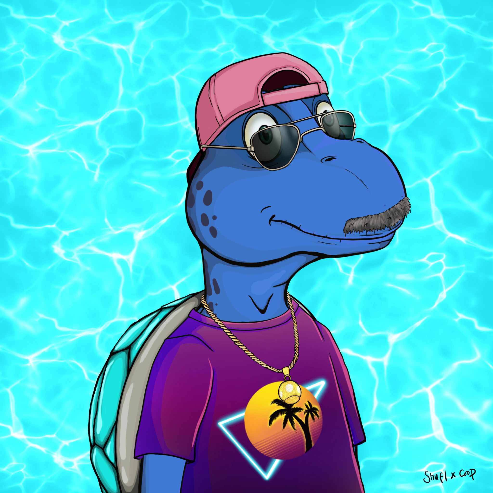 Coopa Troopa #954 NFT on Algorand