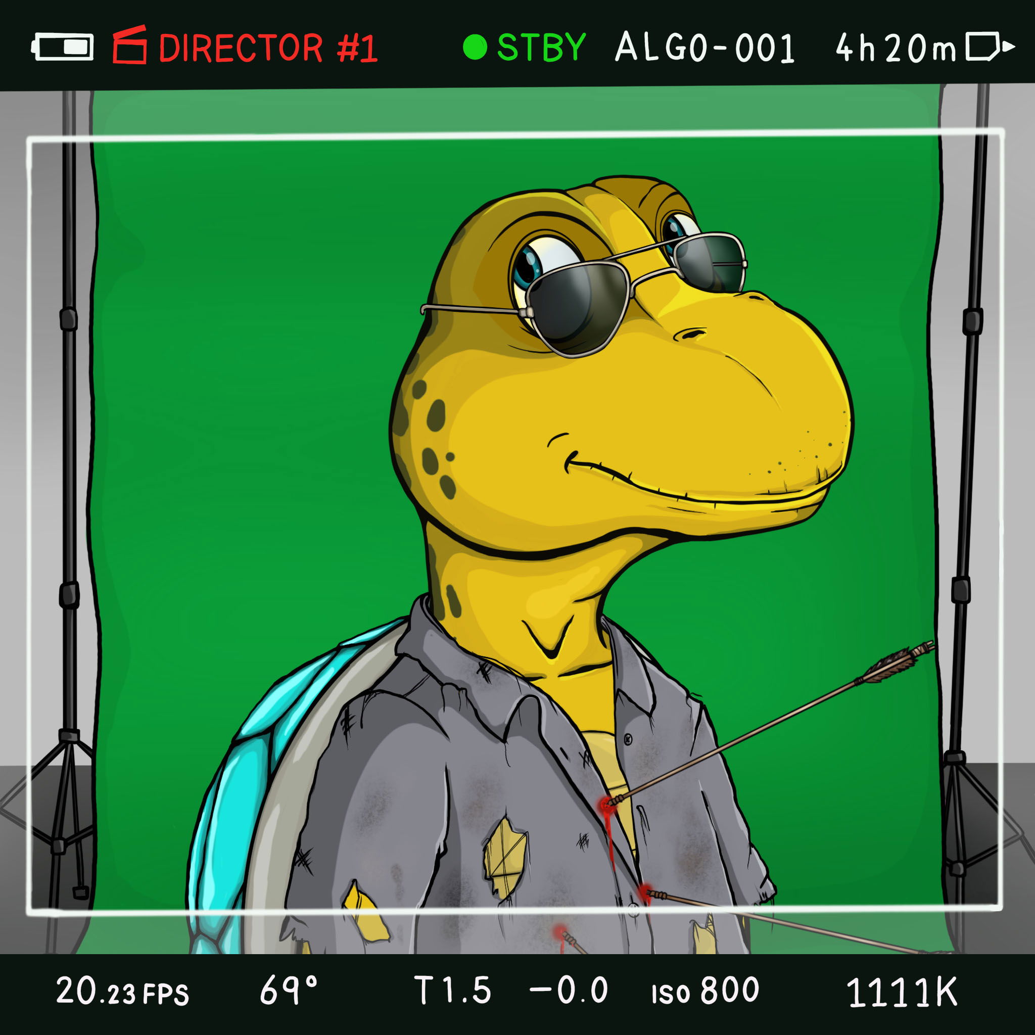 Coopa Troopa #955 NFT on Algorand