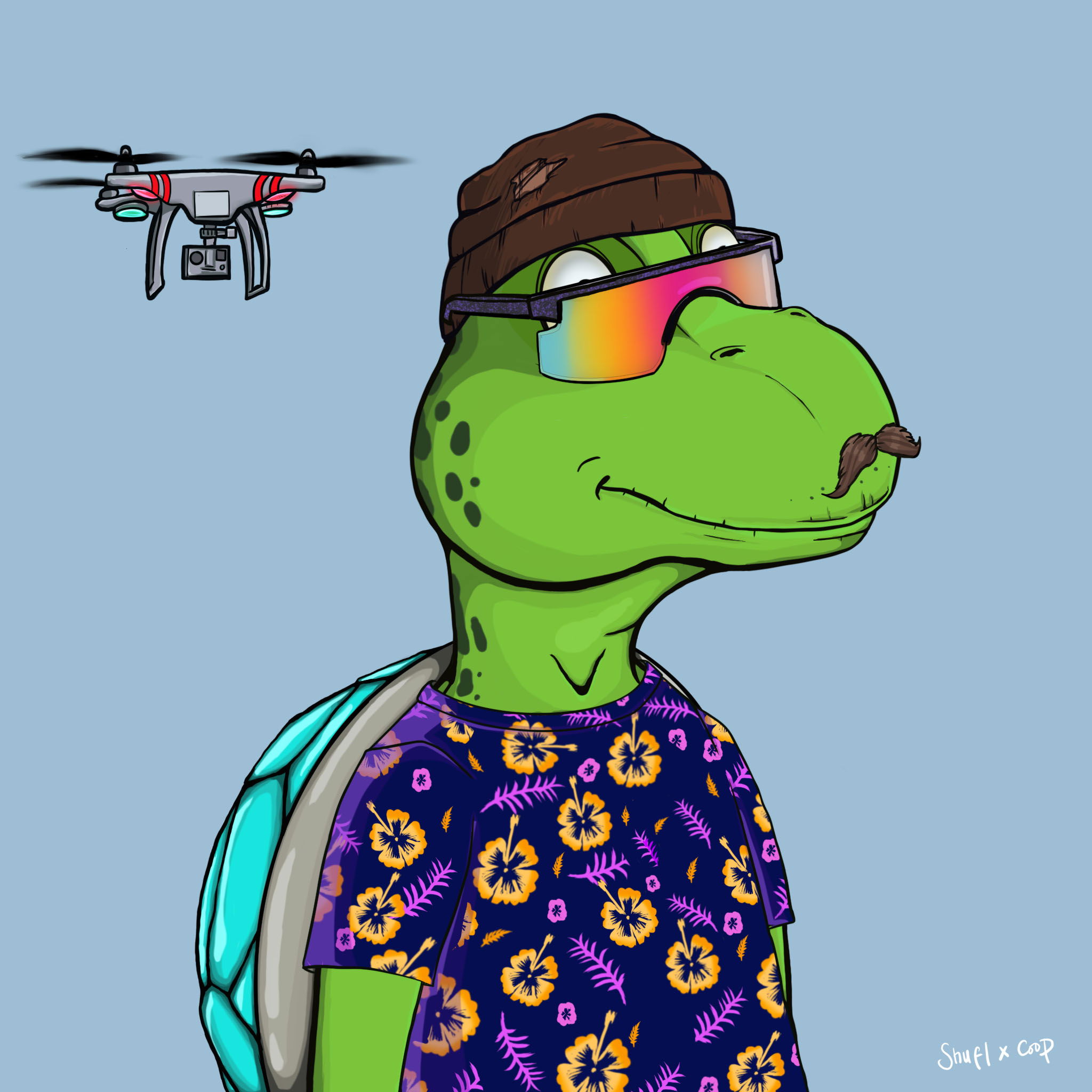 Coopa Troopa #984 NFT on Algorand