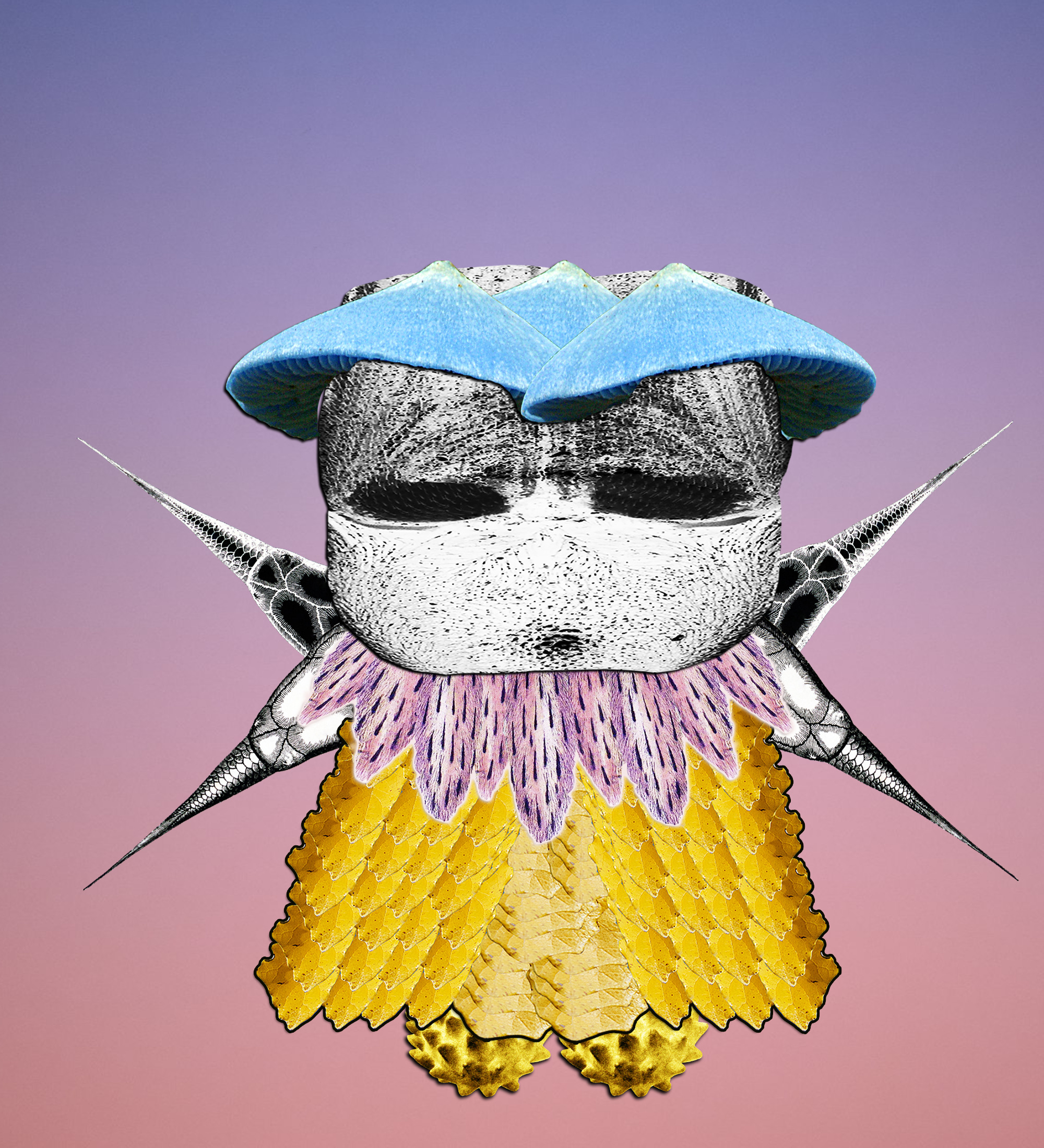 Hopium Warriors #343 NFT on Algorand