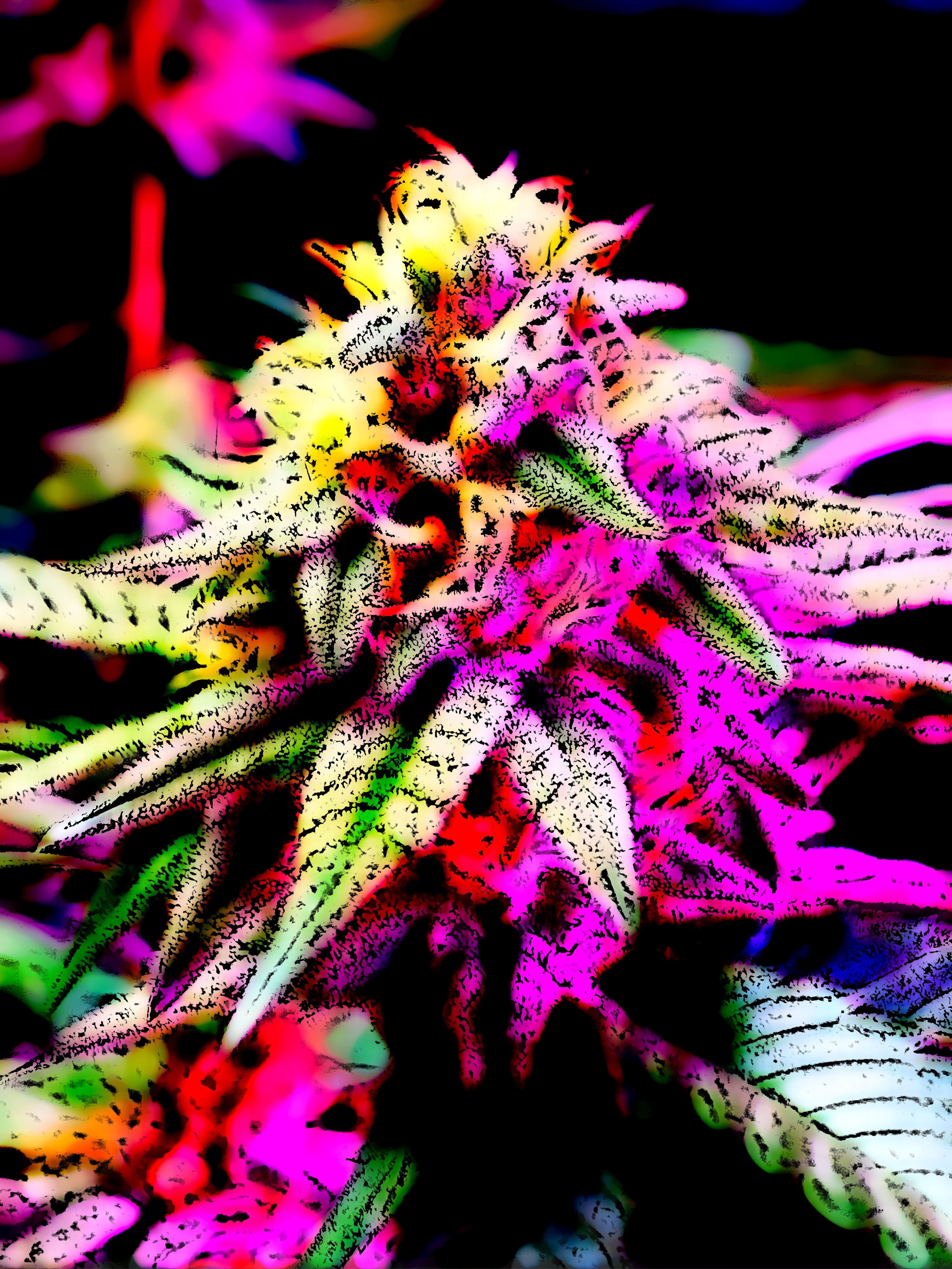 Algobuds NFT on Algorand